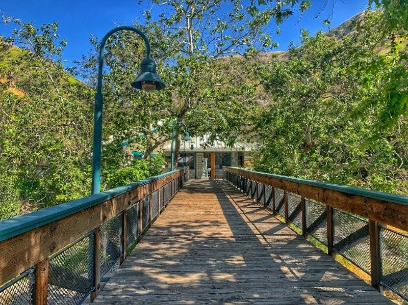 Wooden footbridge with metal railing, surrounded by green trees, leading to a building in the background, with a blue sky overhead.