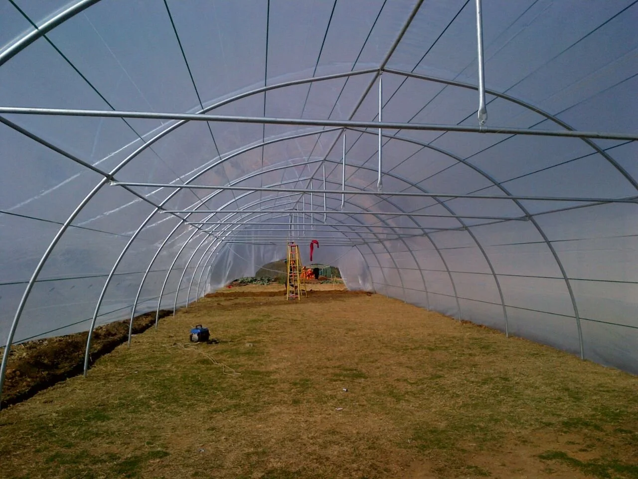 Bloemfontein - Inside Greenhouse.jpg