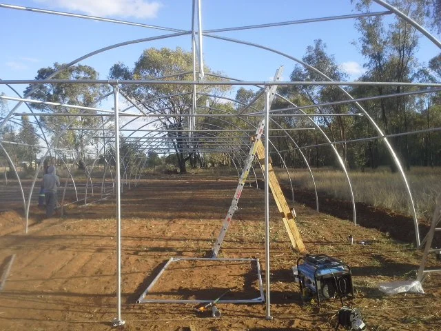 Site 1 Bloemfontein_Greenhouse construction.jpg