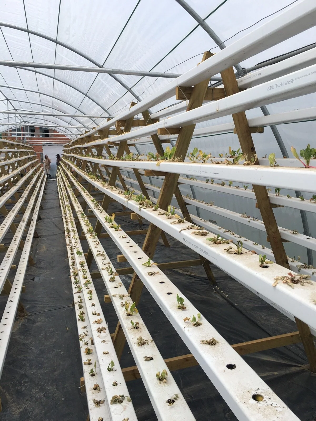 A Frame Installed.jpg