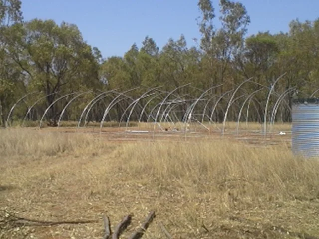 Site 1 Bloemfontein.jpg