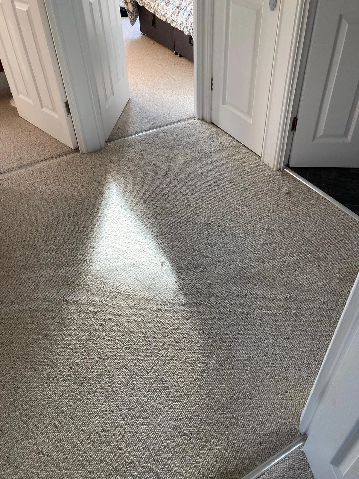 WhatsApp Image 2024-02-01 at 14.54.04 (1).jpeg