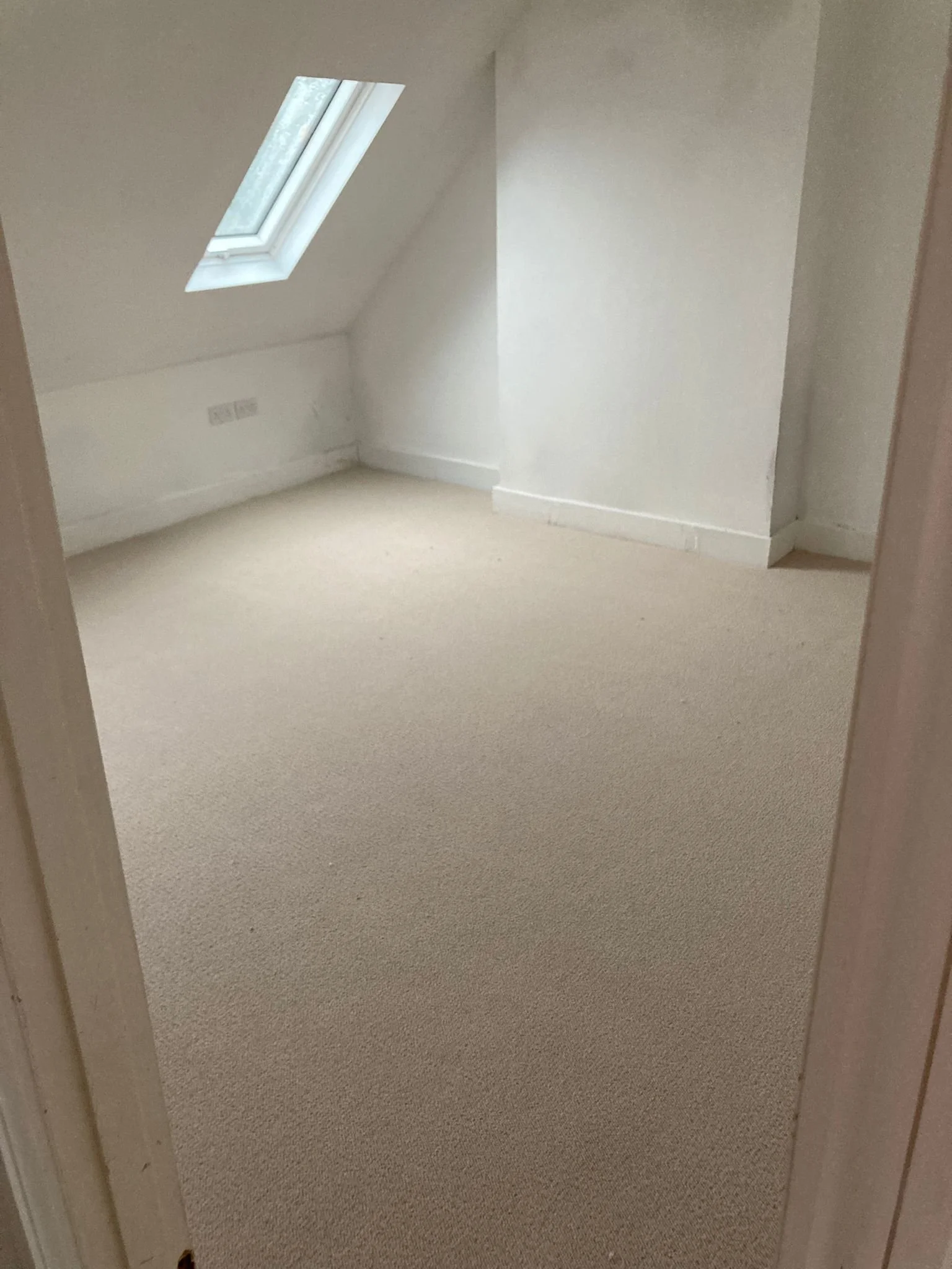 WhatsApp Image 2024-01-25 at 19.22.12.jpeg