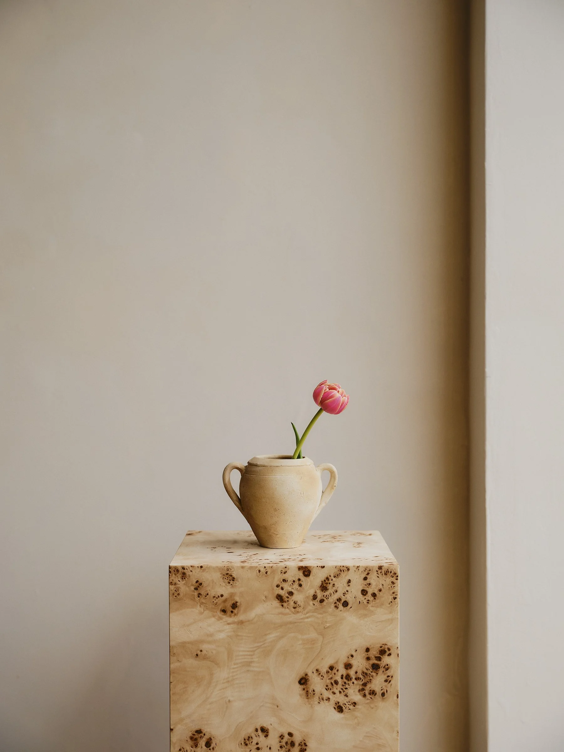 AnnaMoller.Design Showroom design for Coral + Hive