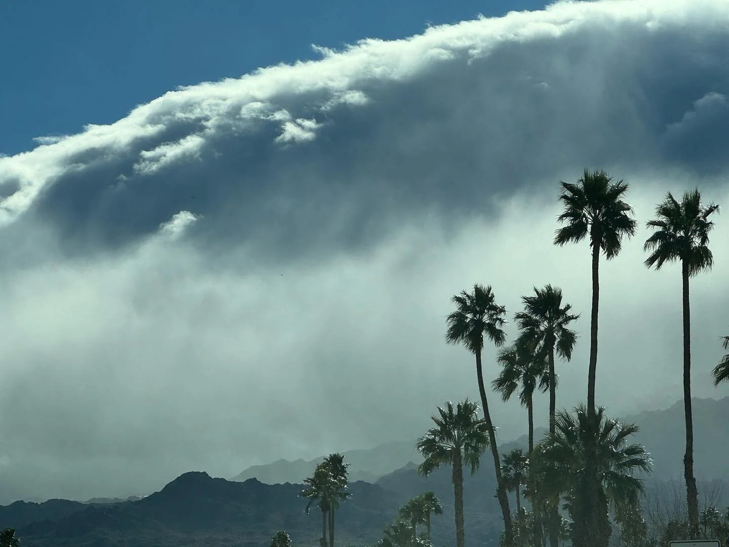 Add this one to &ldquo;reasons to love winter in the desert.&rdquo;