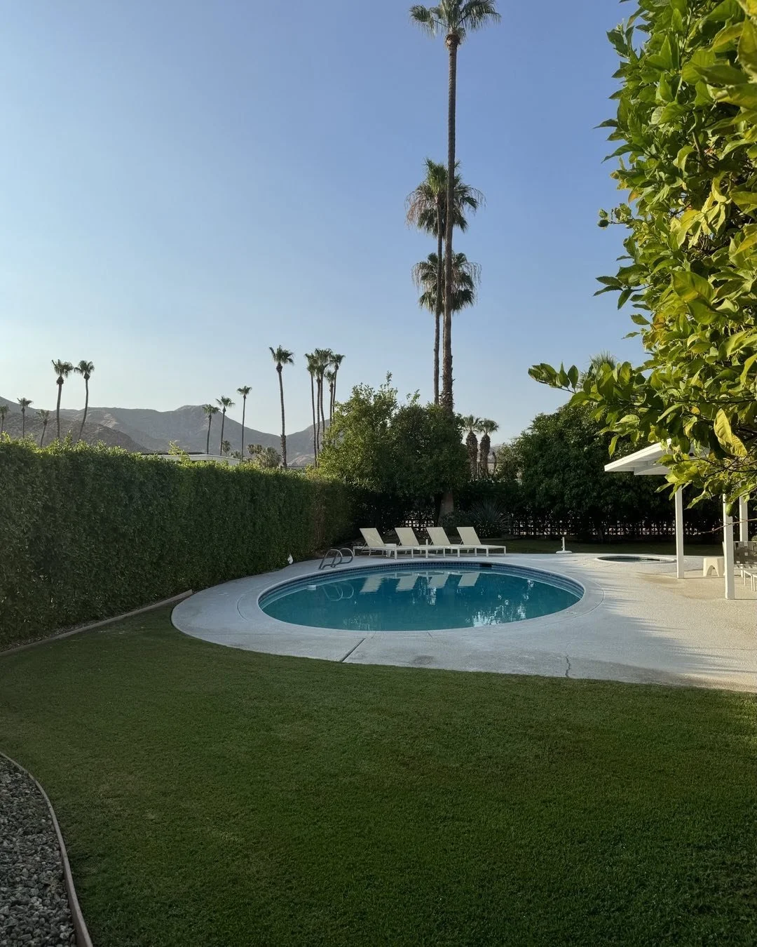 Back in PS! Can&rsquo;t wait to get started on this clients beautiful home in Indian Canyons. Love their original Oval swimming pool @cmincarnato @stefpaq @_pspf_ #mcm #midcentury #midcenturymodern