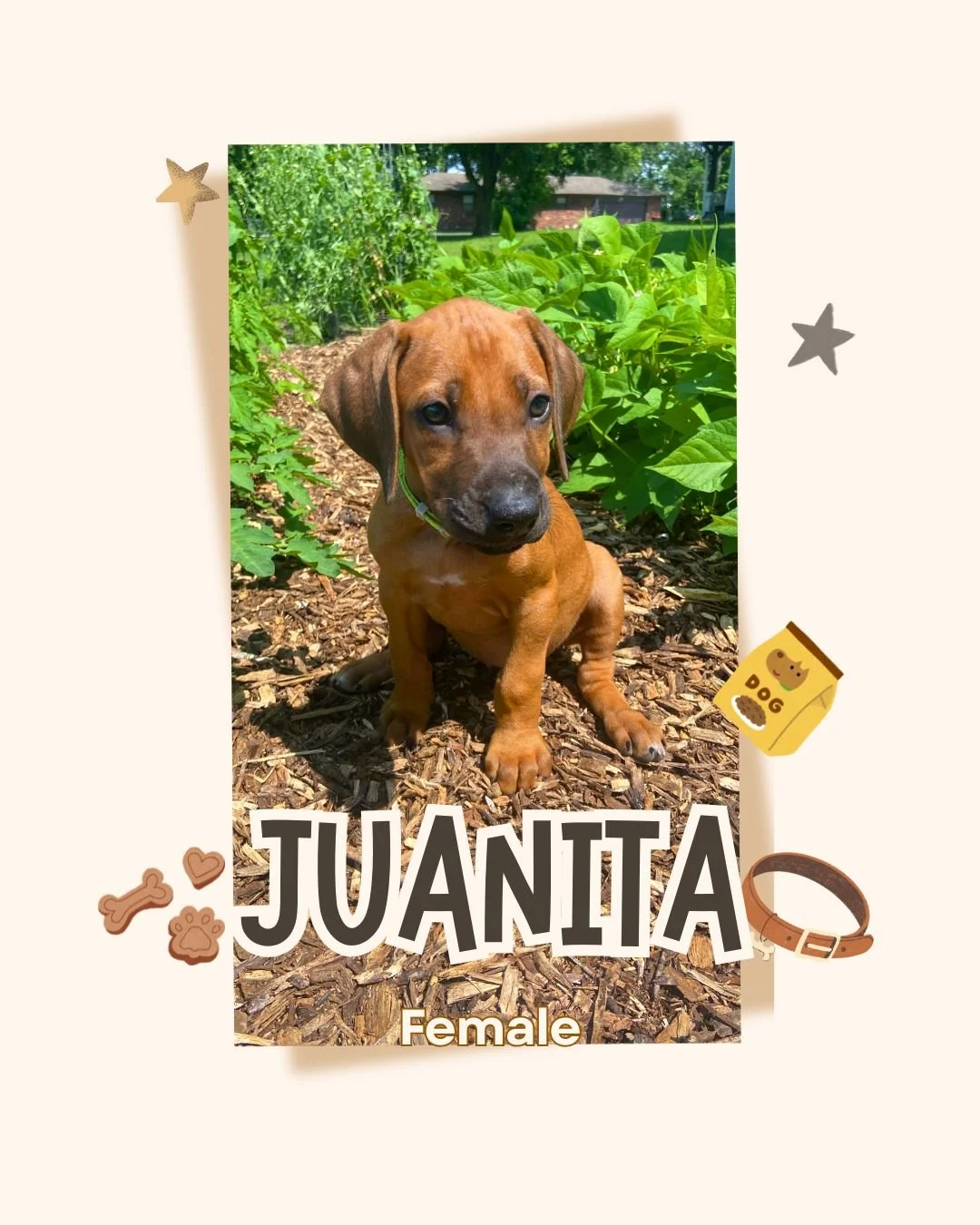Juanita.jpg