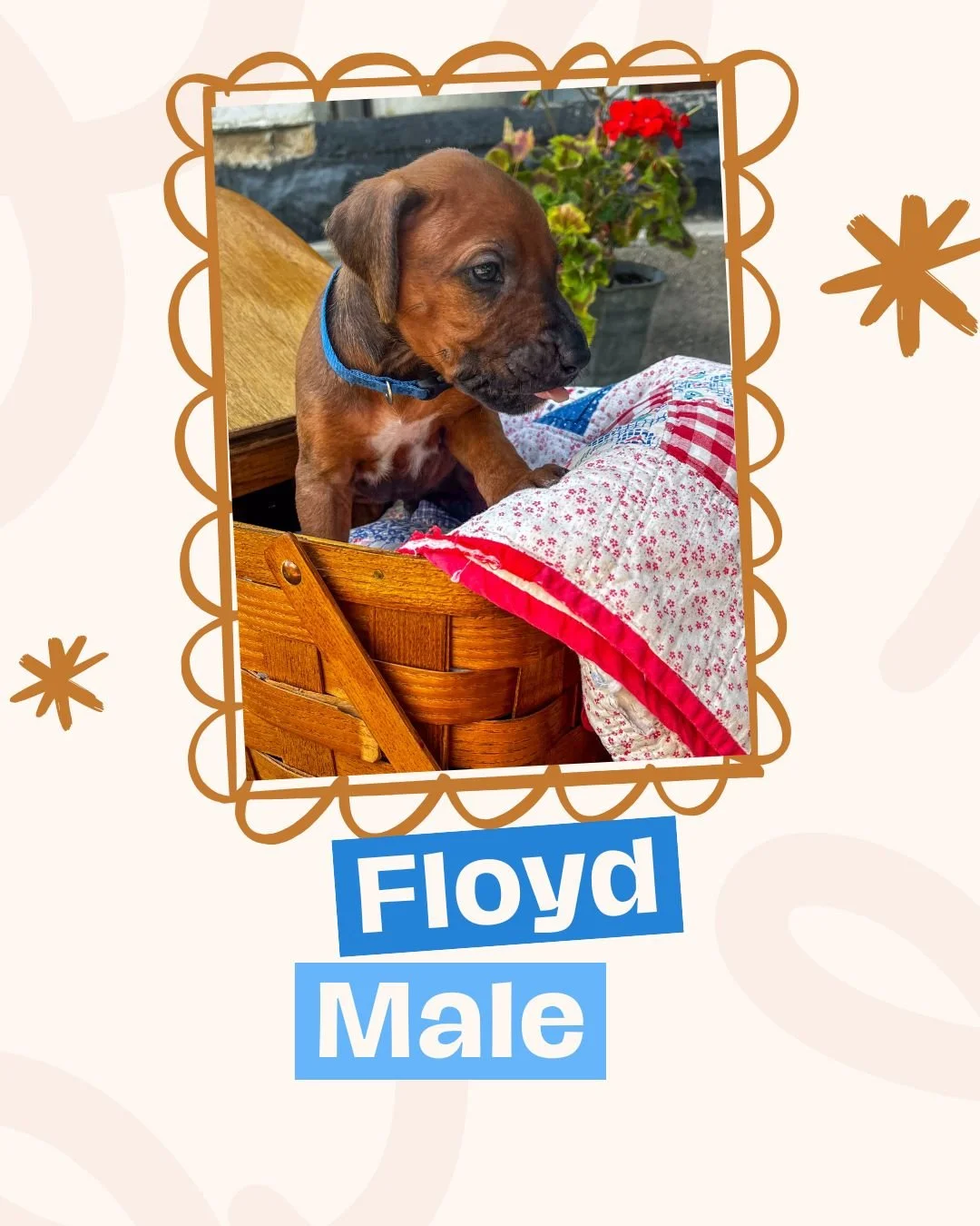 Floyd.jpg