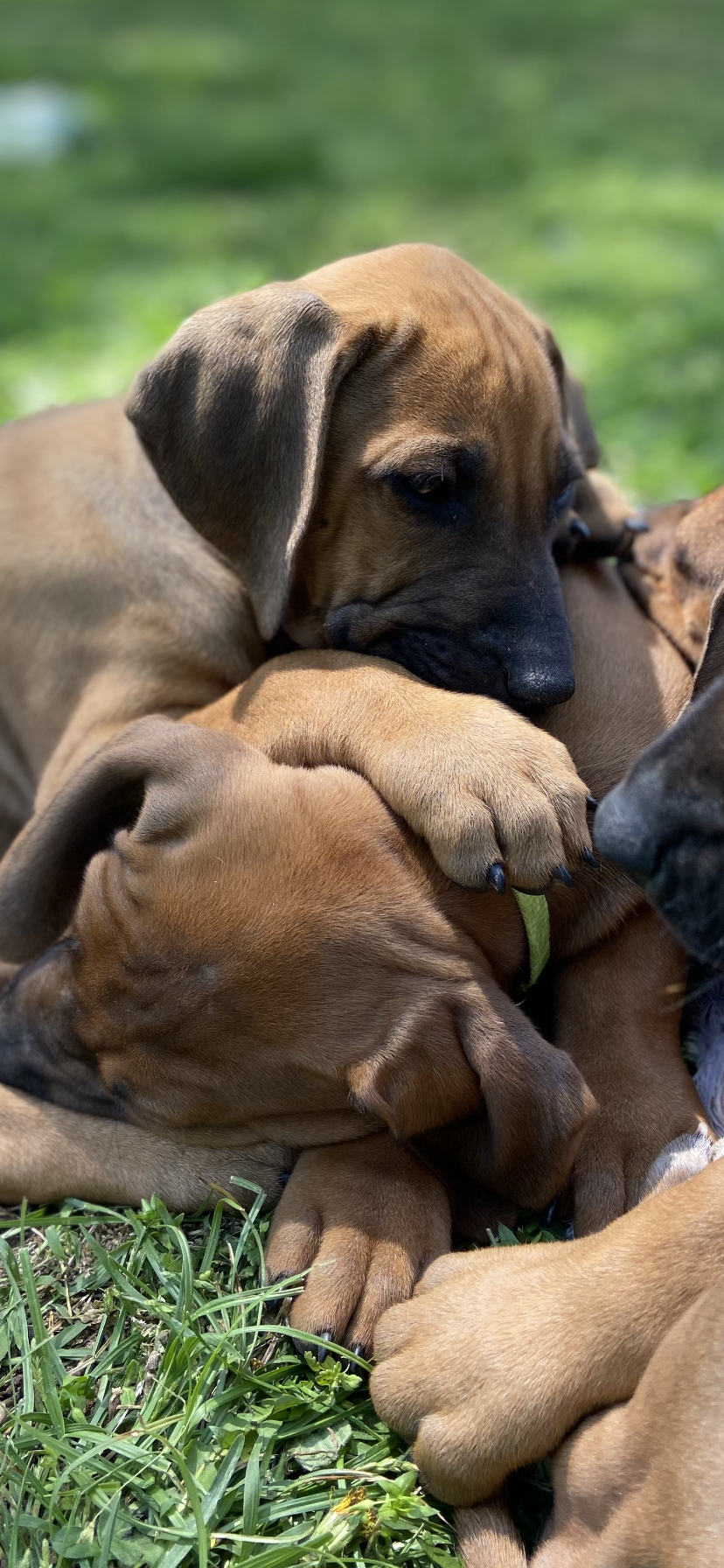 Lovely weather to play outside!