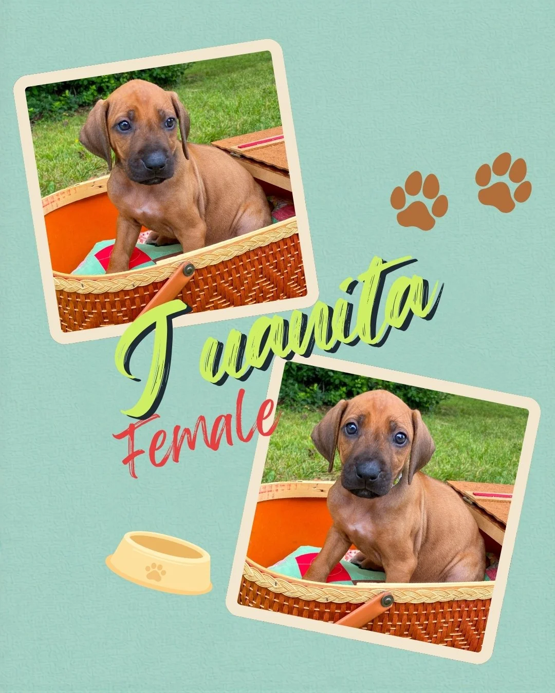 Juanita 2.jpg
