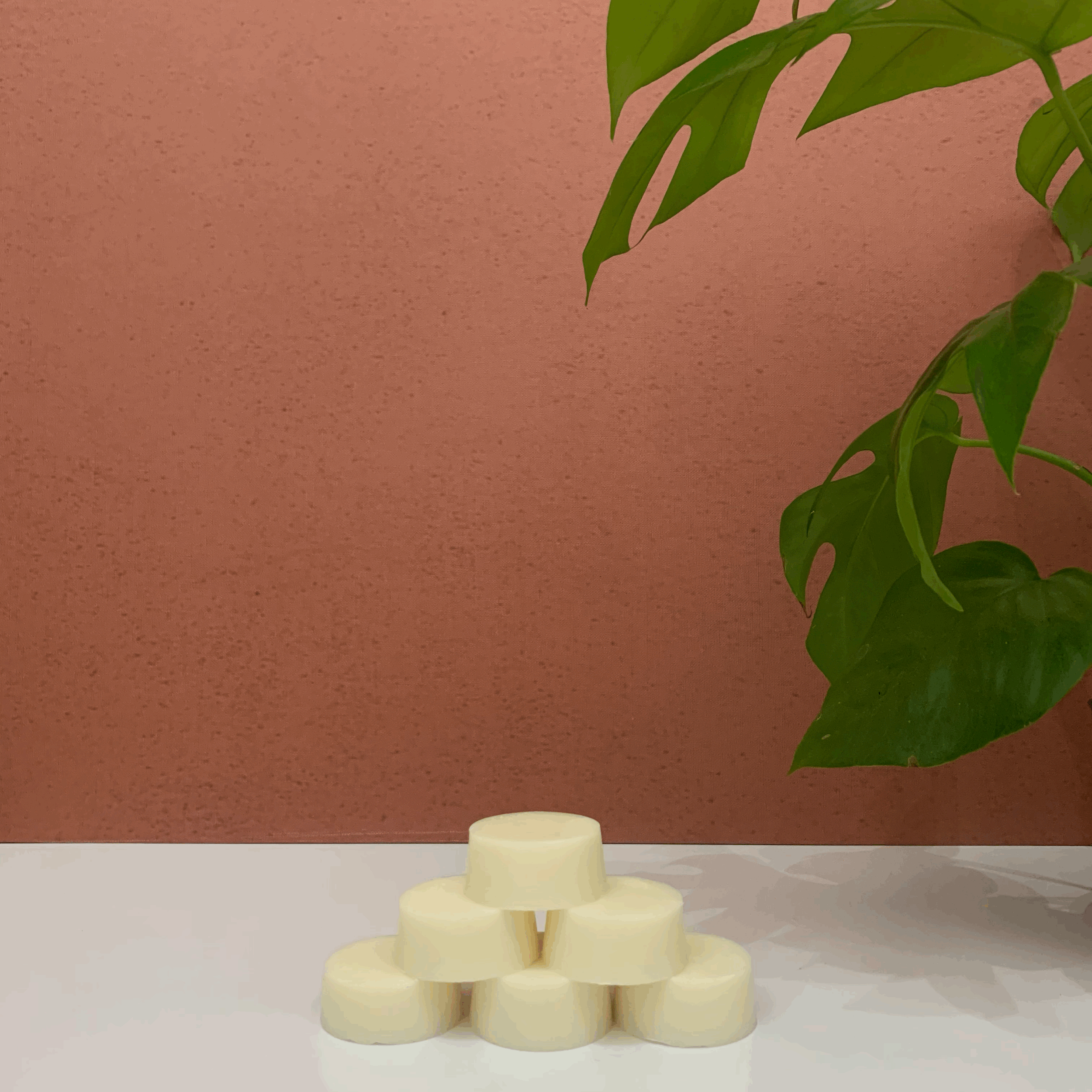 tempImage2uYq7Q.gif