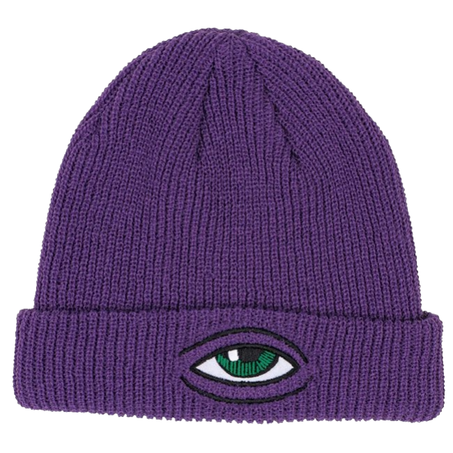 TOY MACHINE SECT EYE DOCK BEANIE PURPLE.png