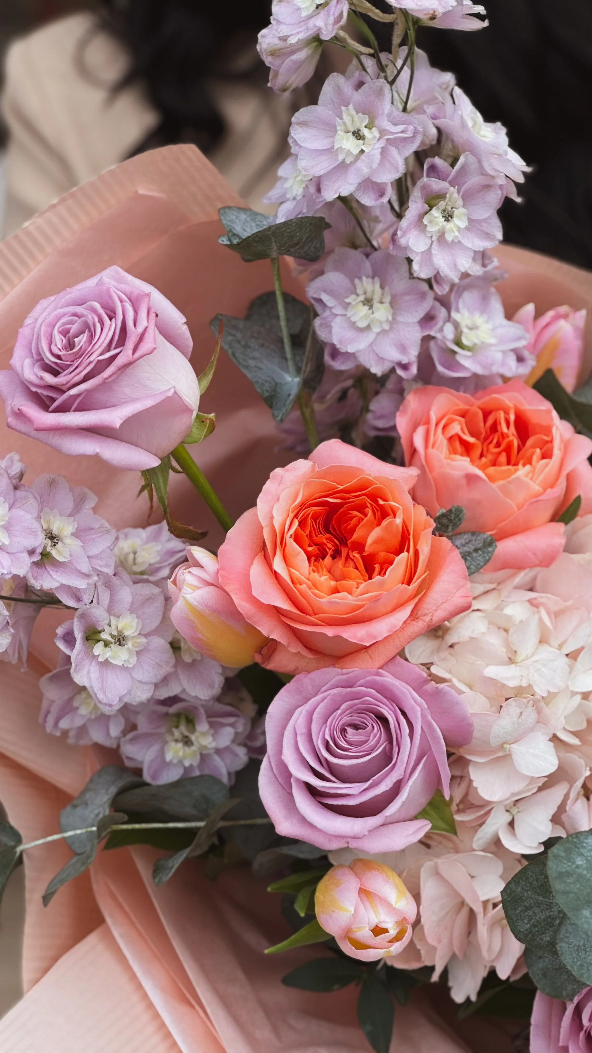 IMG_4354.jpeg