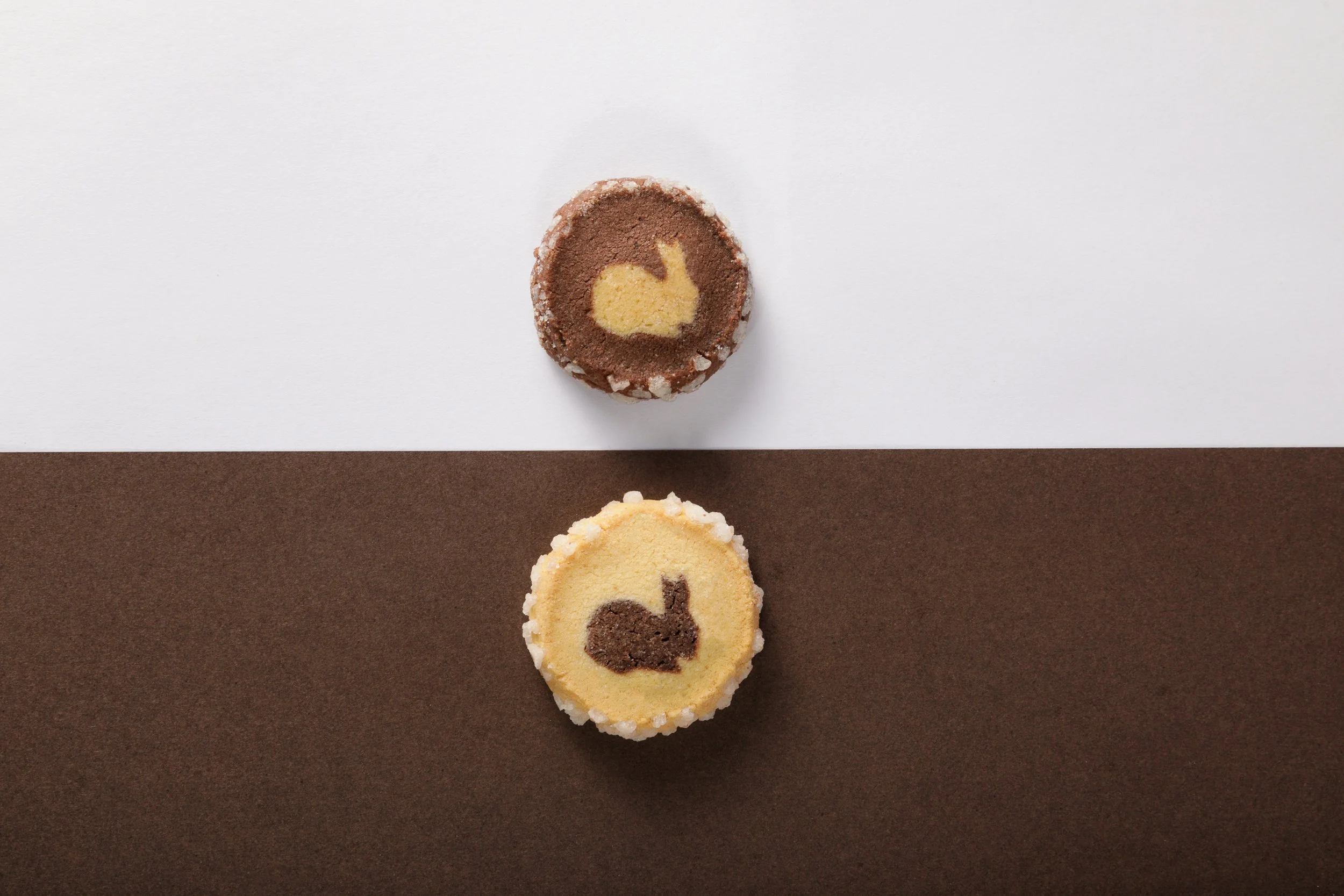 Ambiance pour des biscuits , Chocolatier-Pâtissier Blanc & Cacao, réalisé en studio par Coralie Fradin