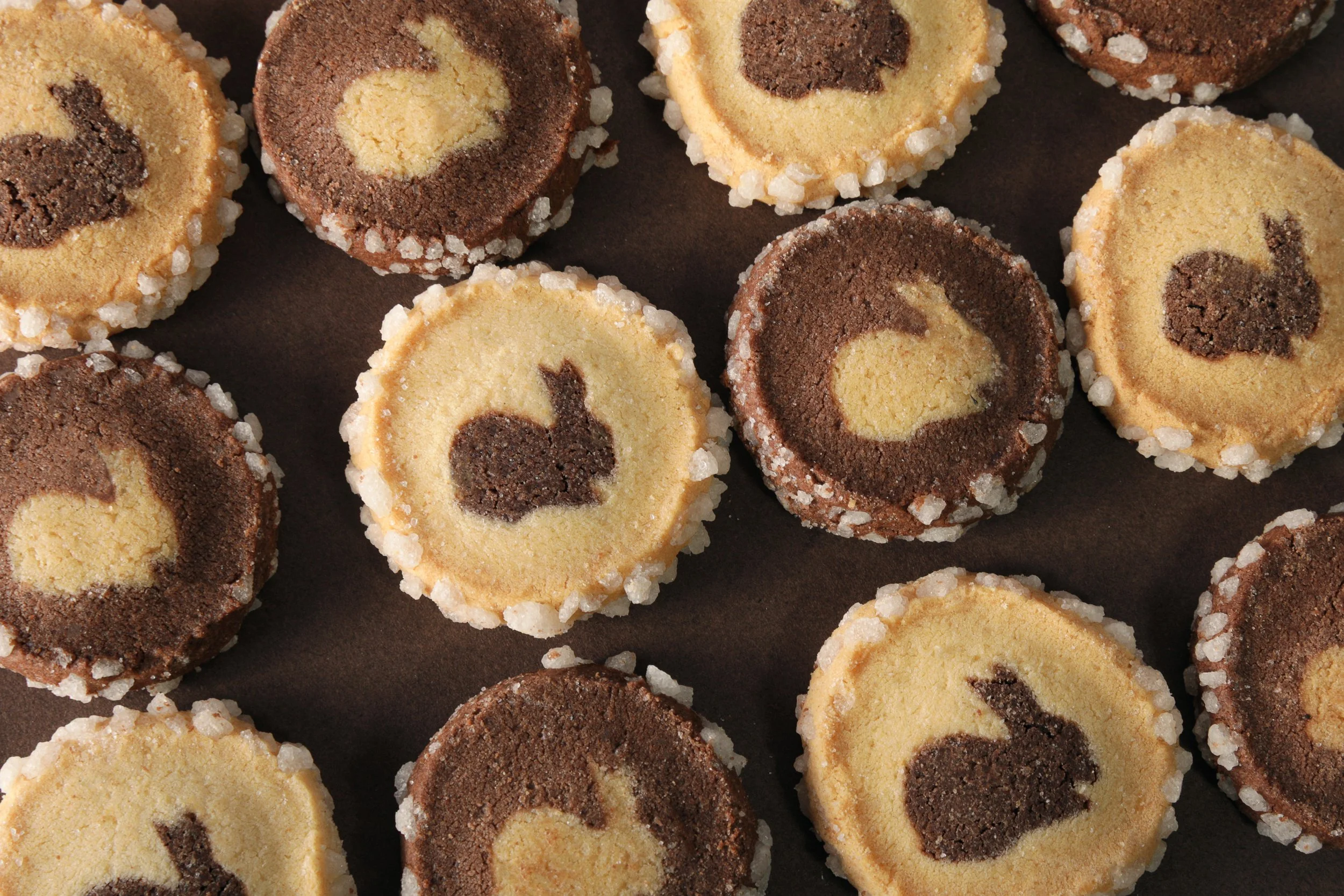 Ambiance pour des biscuits , Chocolatier-Pâtissier Blanc & Cacao, réalisé en studio par Coralie Fradin