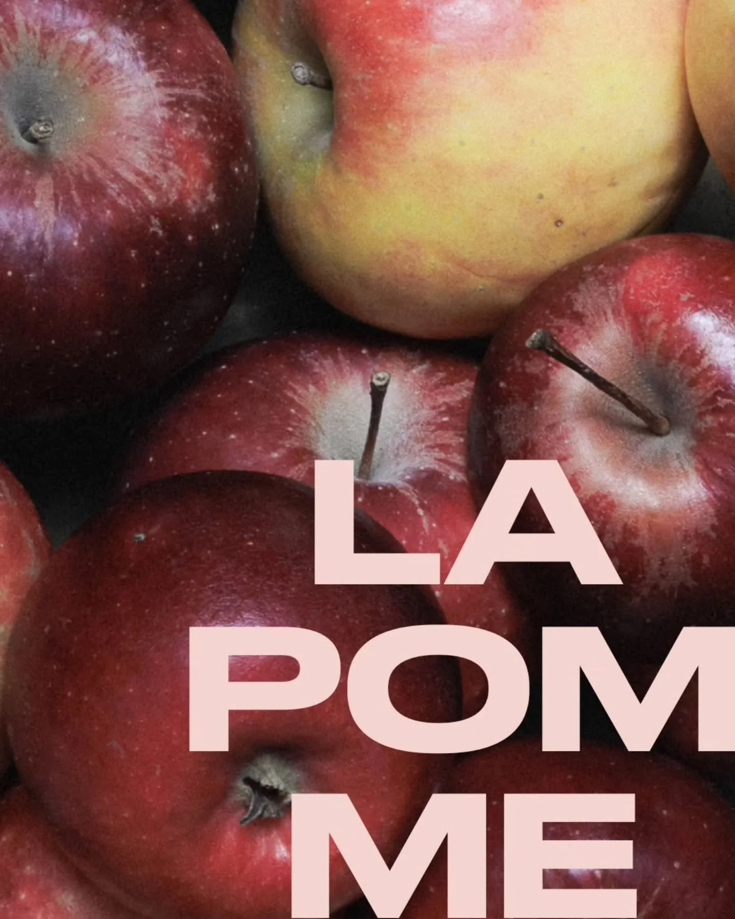 Cr&eacute;ation de contenus visuels autour de la pomme et du jus de pomme p&eacute;tillant 📸 
​Du studio au lifestyle, l'objectif &eacute;tait de cr&eacute;er diff&eacute;rentes ambiances et animations, pour mettre en valeur les textures, la fra&ici