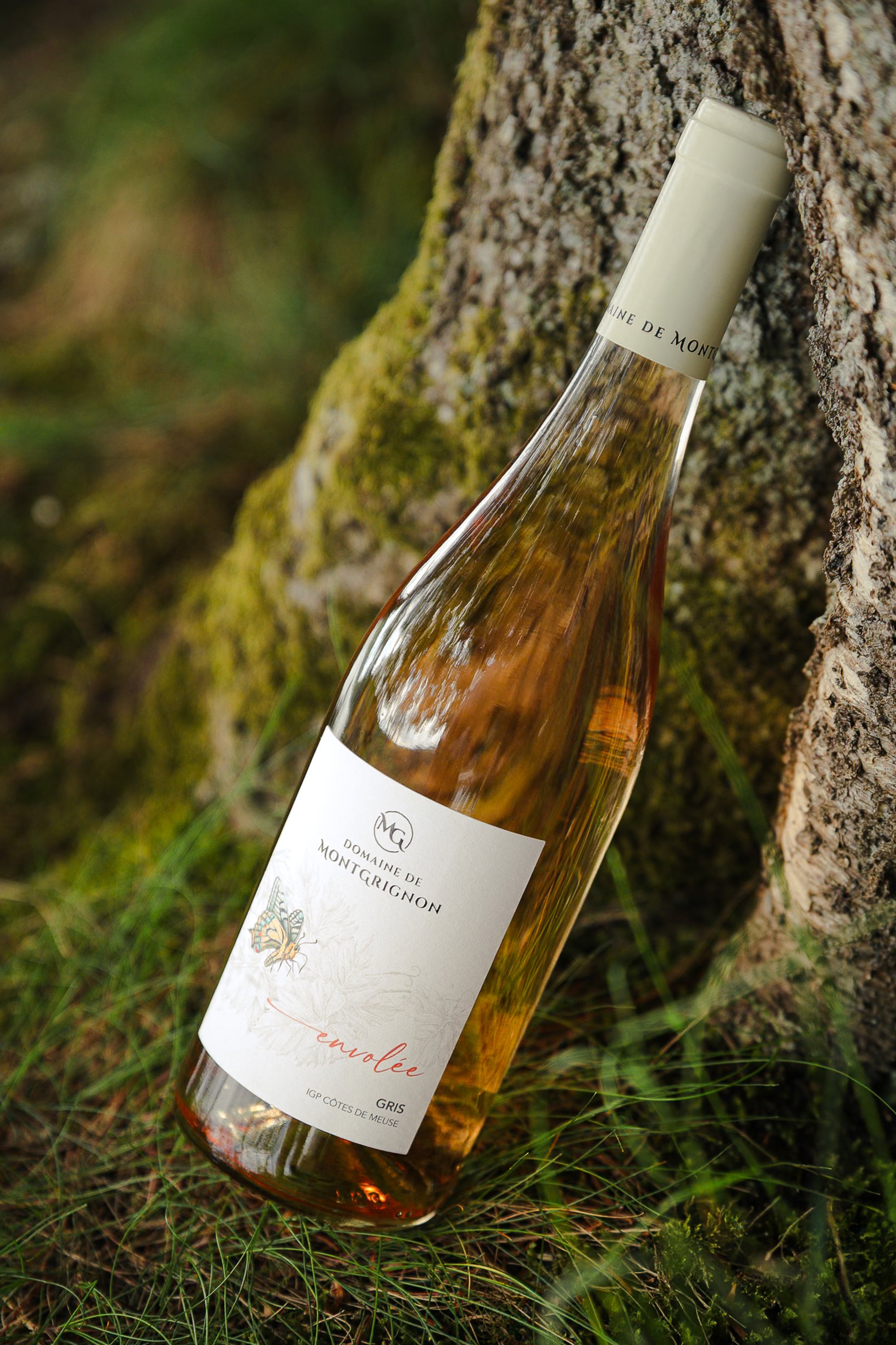 Shooting lifestyle vignoble Montgrignon - Produit vin