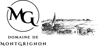 logo-mg-vectorise-3.png