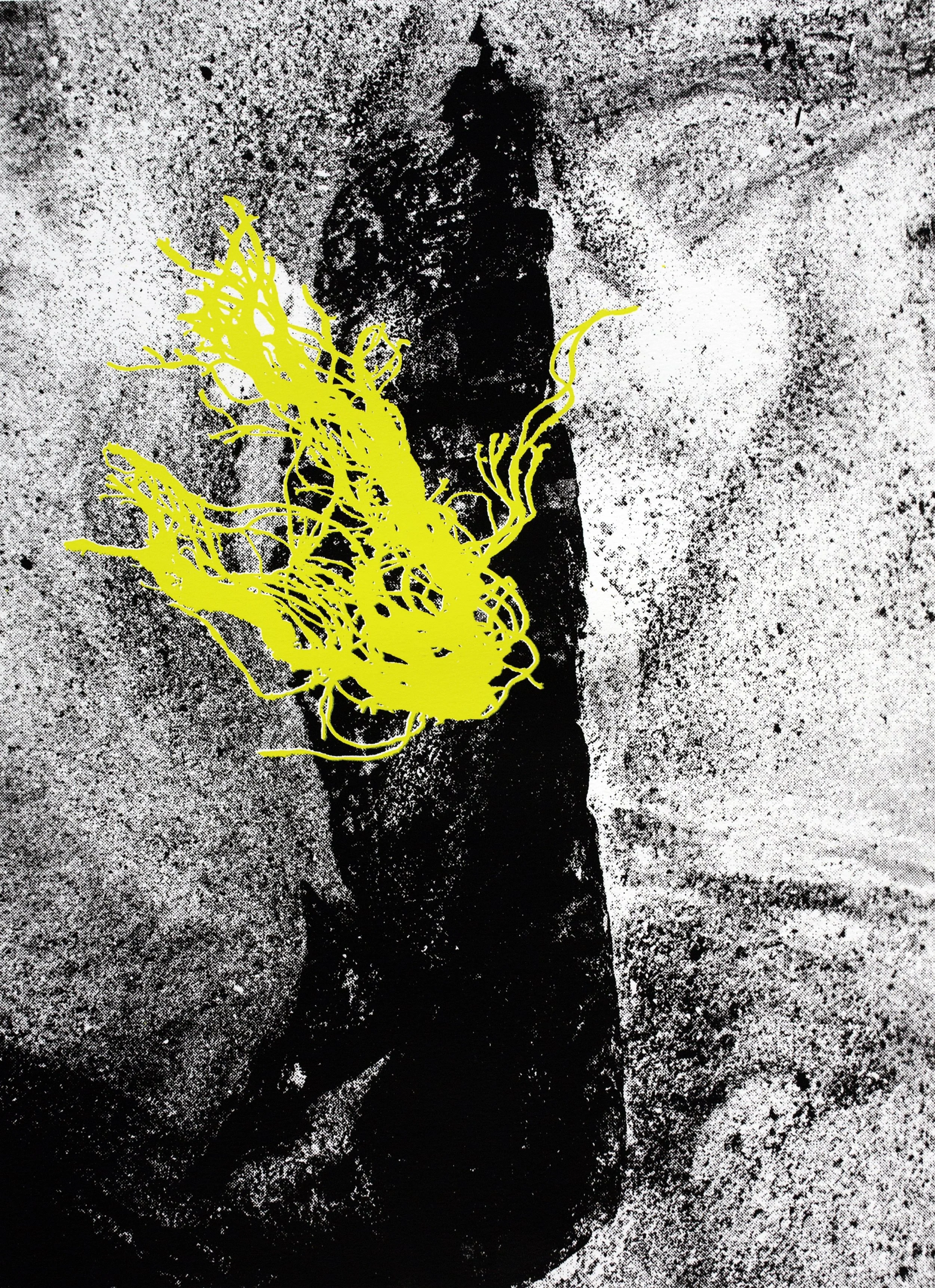 Fintra Rock Yellow Fishernet - screenprint on paper