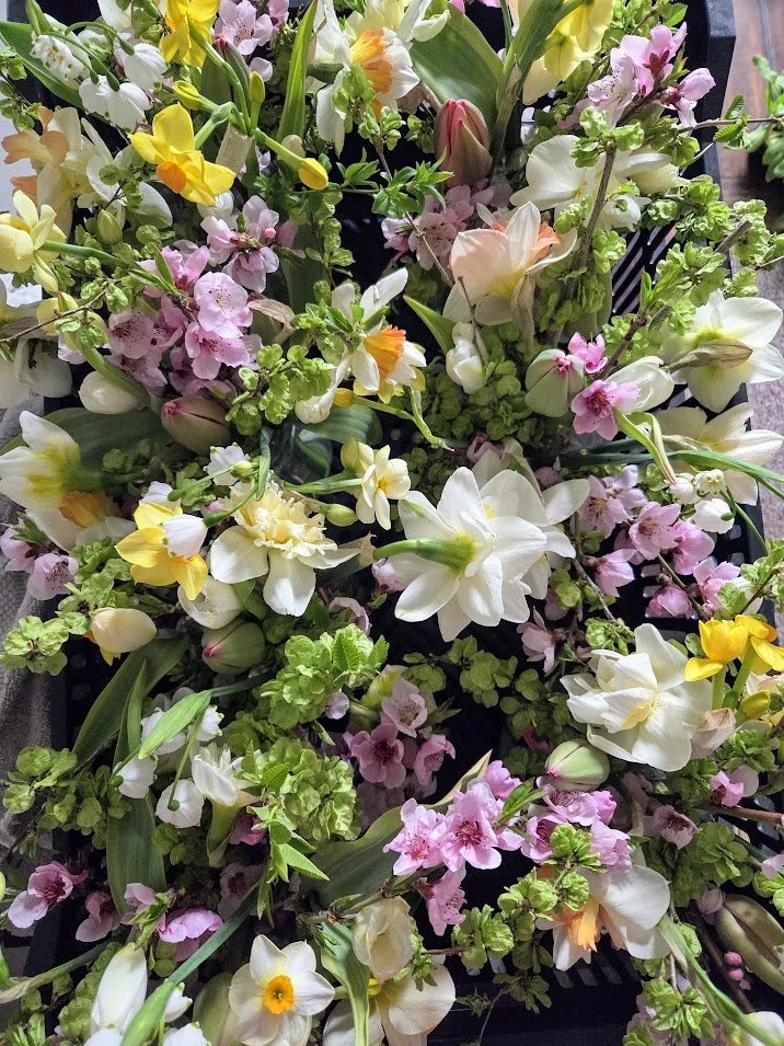 2026 Ultimate Luxury Weekly Bouquet Subscription - SANPETE ONLY