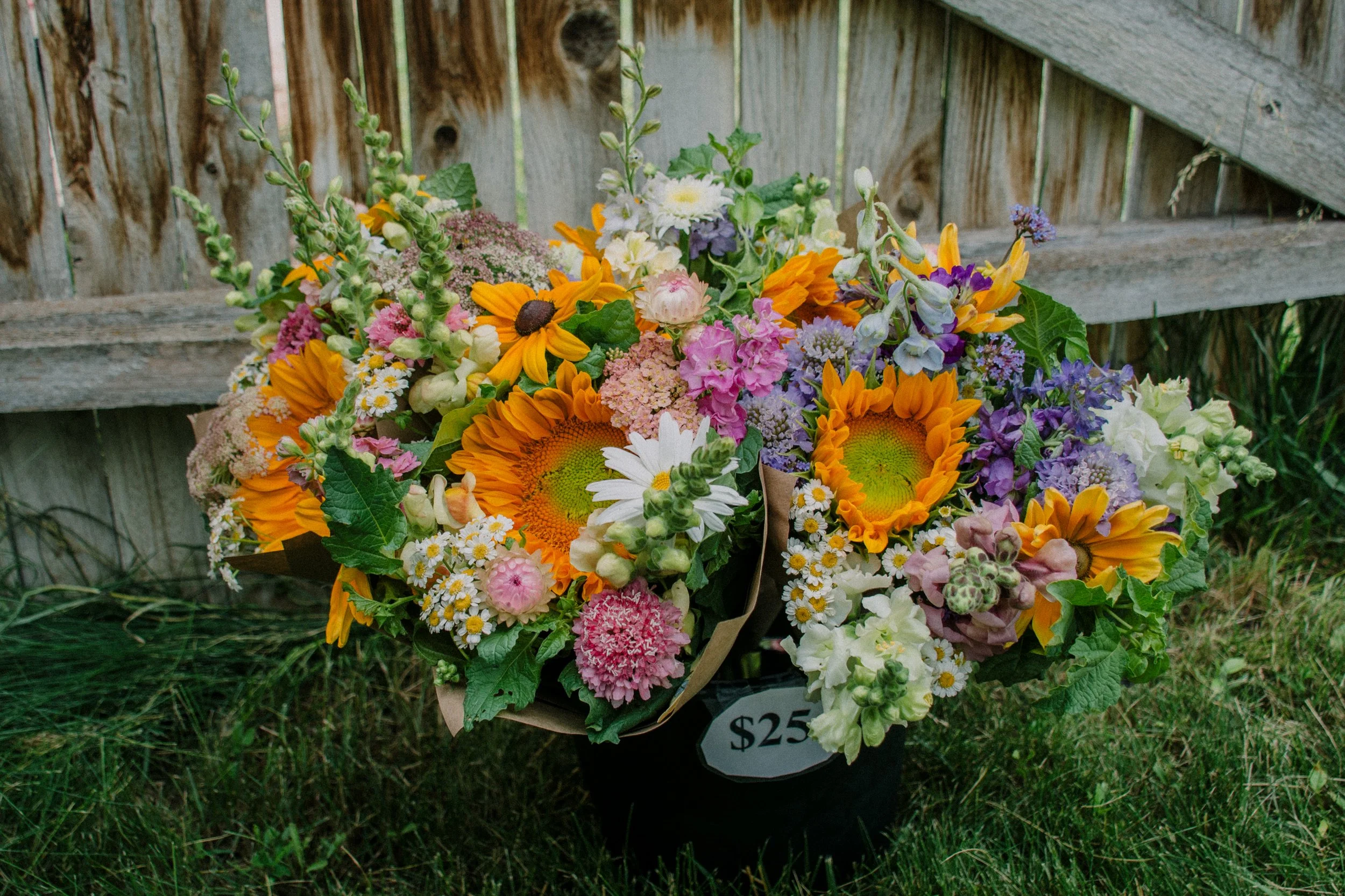 Colorful bouquet of flowers with sunflowers, daisies, and pink blossoms, in a black bucket marked $25, outdoors near a wooden fence.