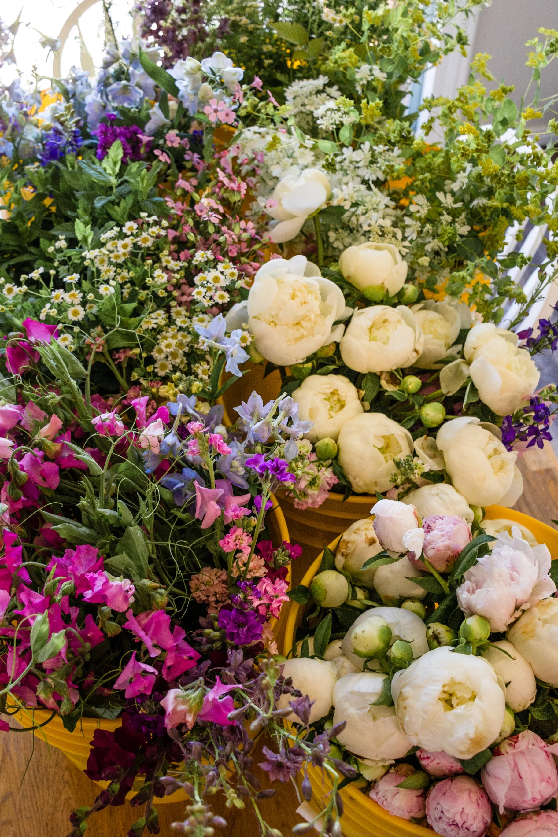 In-Person Consultation for Wholesale Flowers