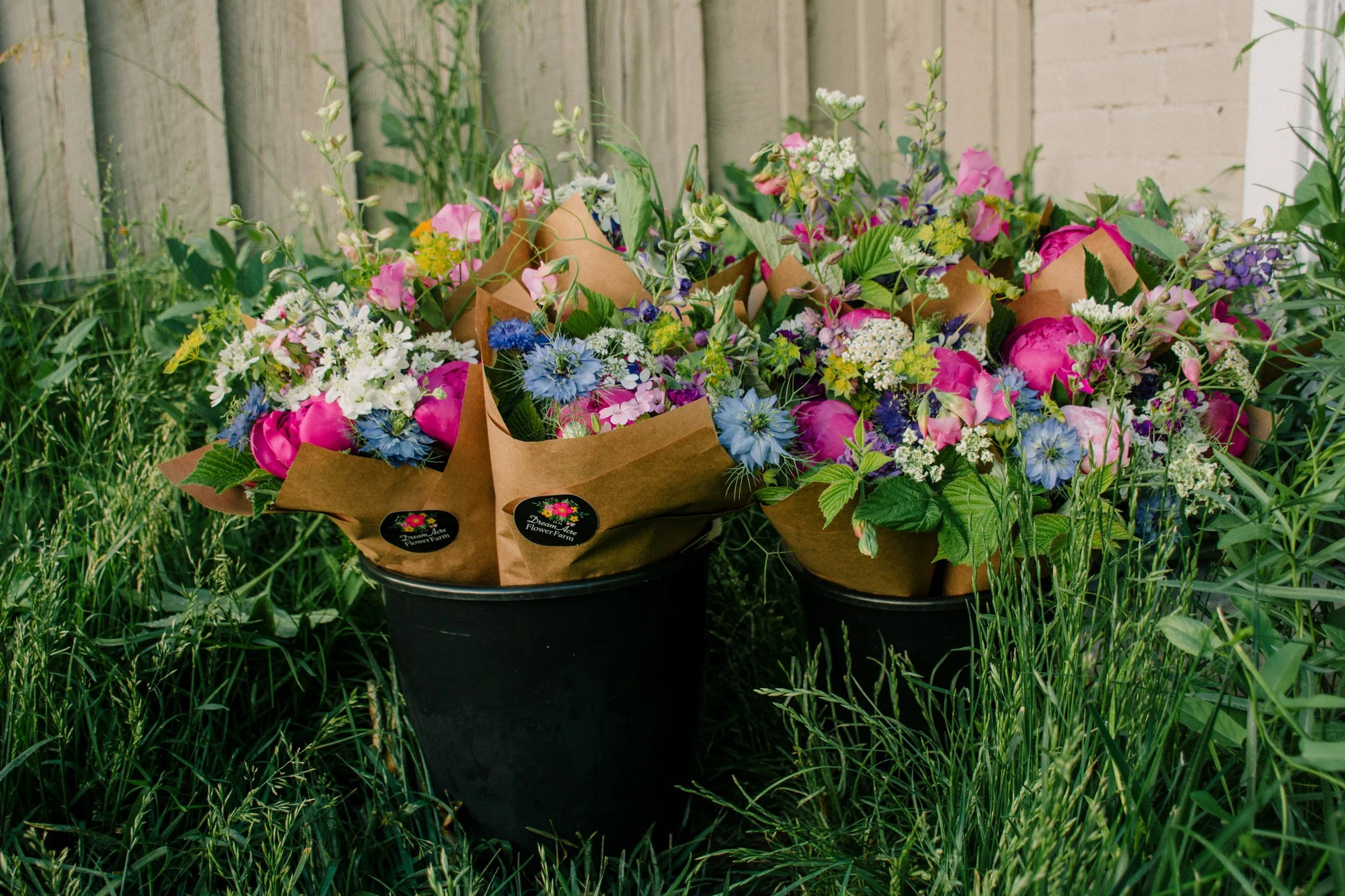 Two black pots filled with colorful bouquets of pink, white, and blue flowers, wrapped in brown paper, placed outside near a wooden fence and surrounded by tall green grass and plants.