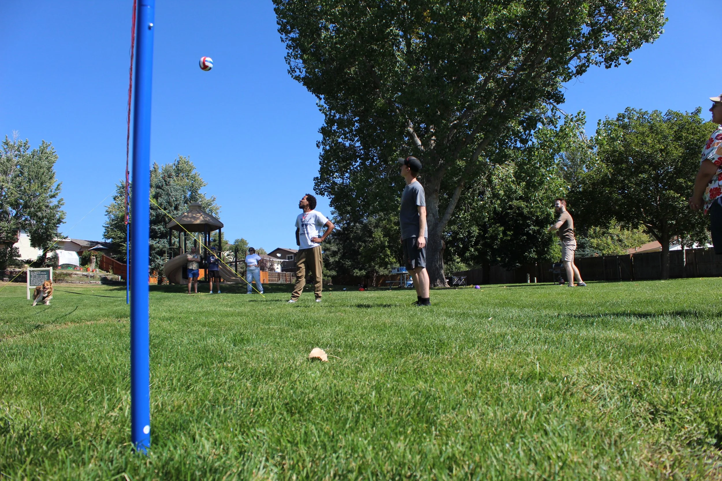 People playing tetherball in a park with a dog running on the grass, trees and playground equipment in the background.