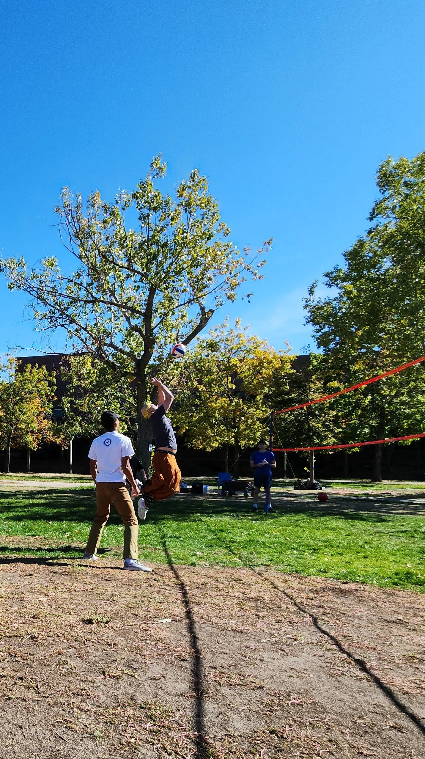 People playing volleyball in a park with green trees and a clear blue sky.