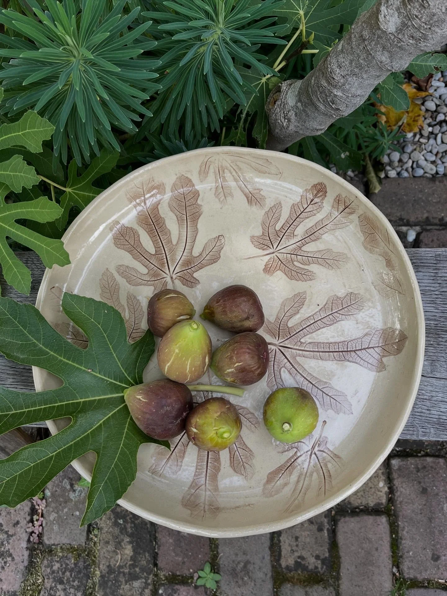 Het is oogsttijd! 
Zaterdag staan we op de oogstfair van @de_boschhoeve te Wolfheze.
Het is de laatste keer dat deze fair wordt georganiseerd dus ben erbij!
Gratis entree van 10-16 u, prachtige tuin, met veel moois te koop: bloembollen, lekkers, plan