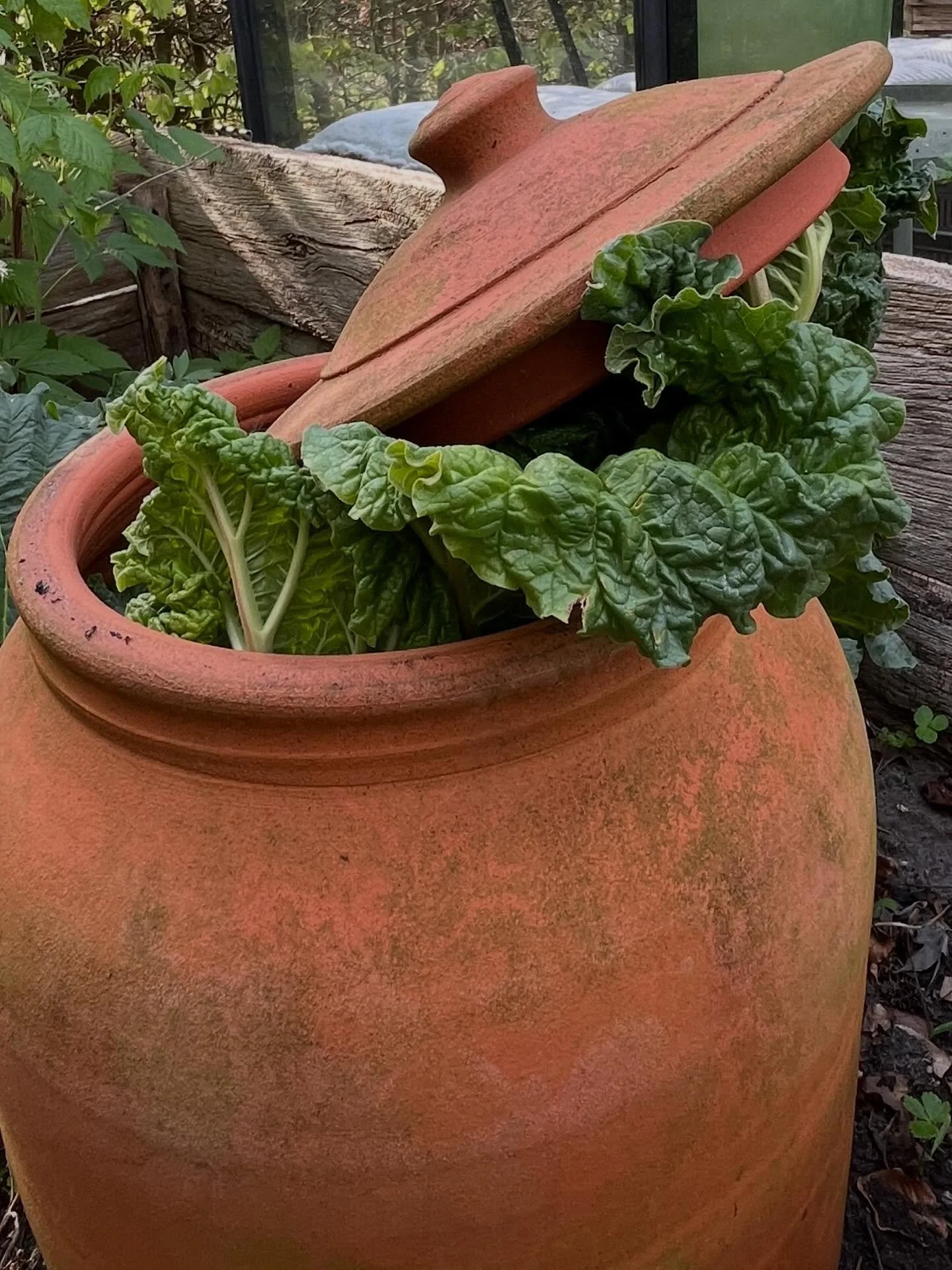 Weekend!
Na een dag heerlijk en hard werken in de tuin bij vrienden ( eens hovenier, altijd hovenier) had ik geen zin meer om te koken. We waren al getrakteerd op een goede lunch, vitamientjes binnen.
In  @volkskrantmagazine zag ik vanochtend bij de 