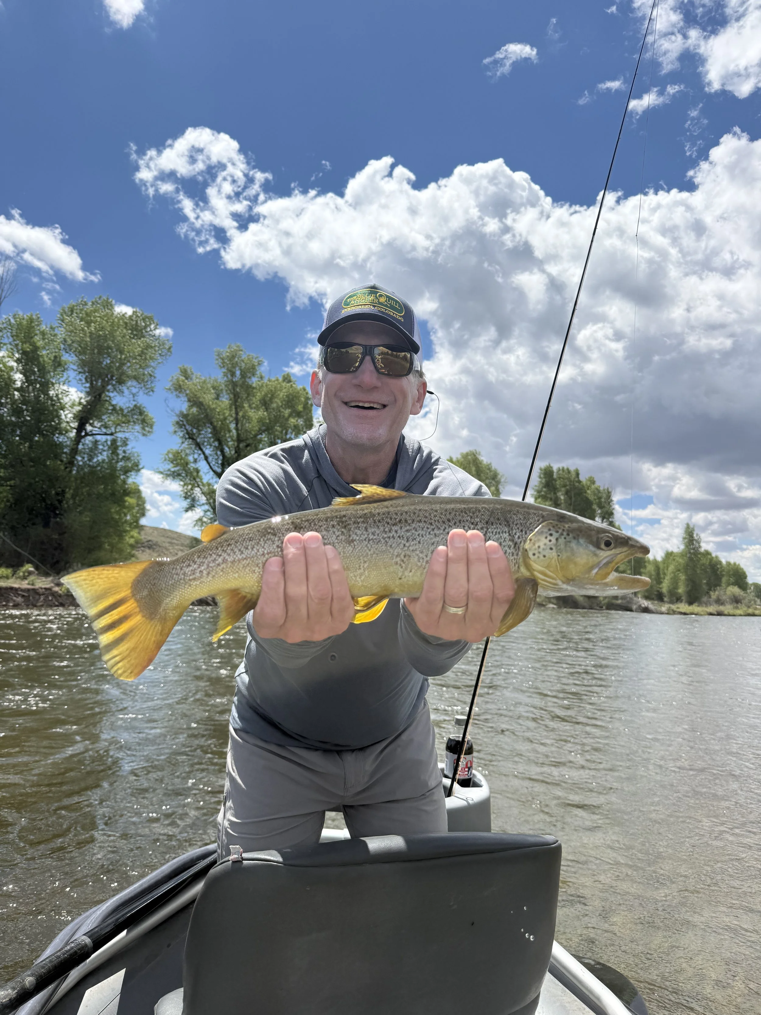 Trophy Brown trout on the Green river Wyoming