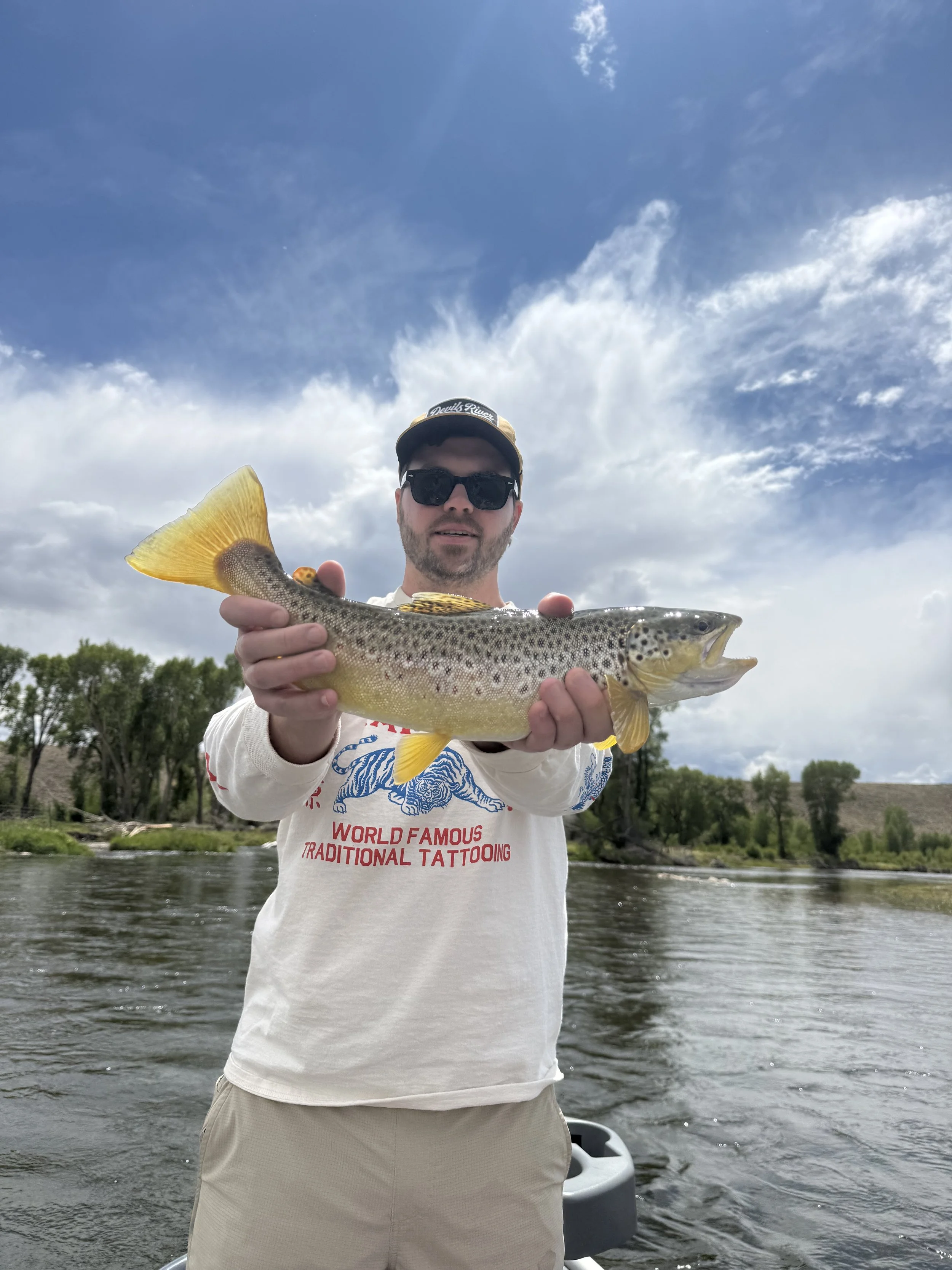 Upper Green river Wyoming Brown trout on a dry fly