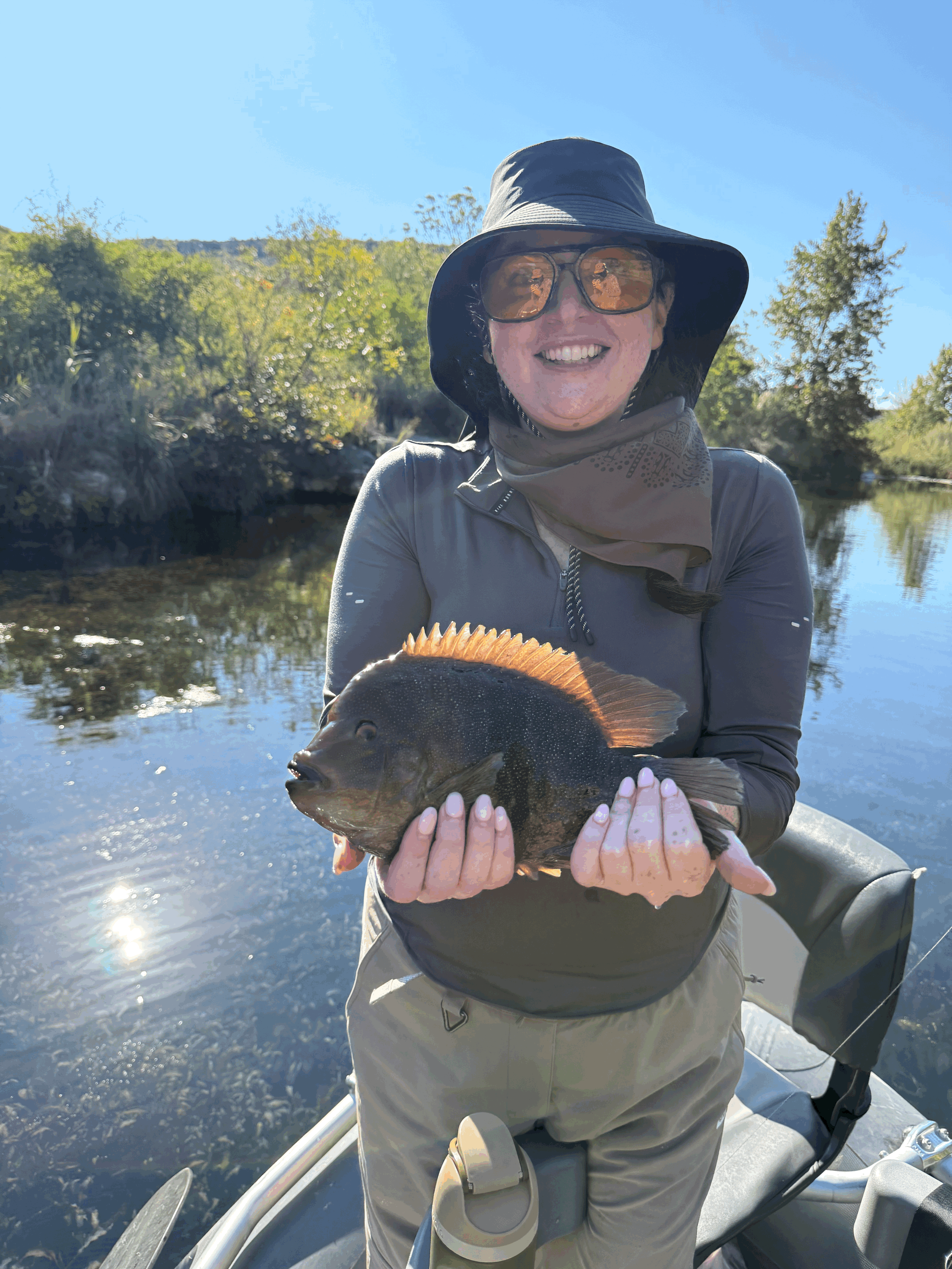 Devils River Rio Grande Cichlid…