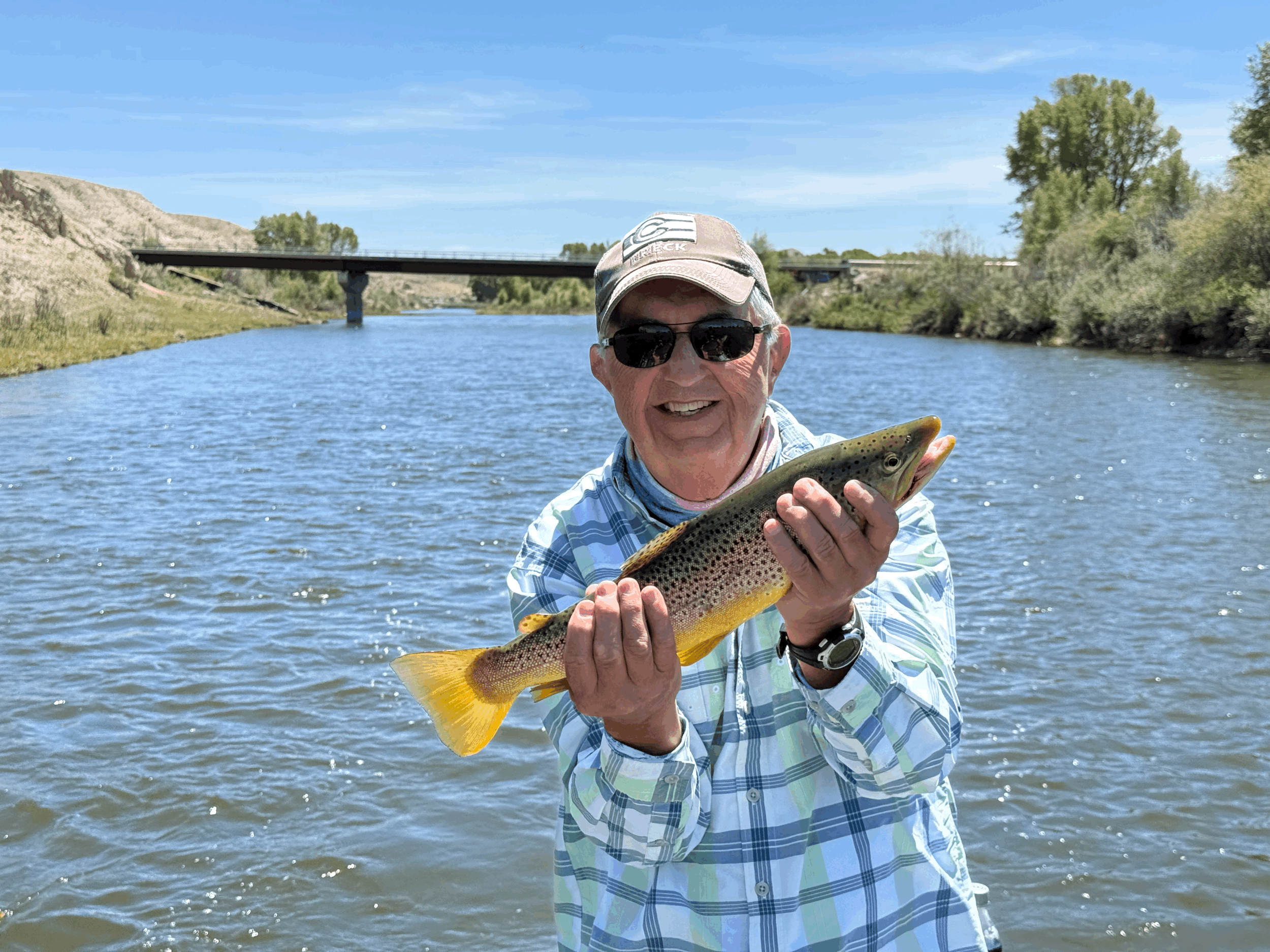 Dry fly fishing on the Green river Wyoming