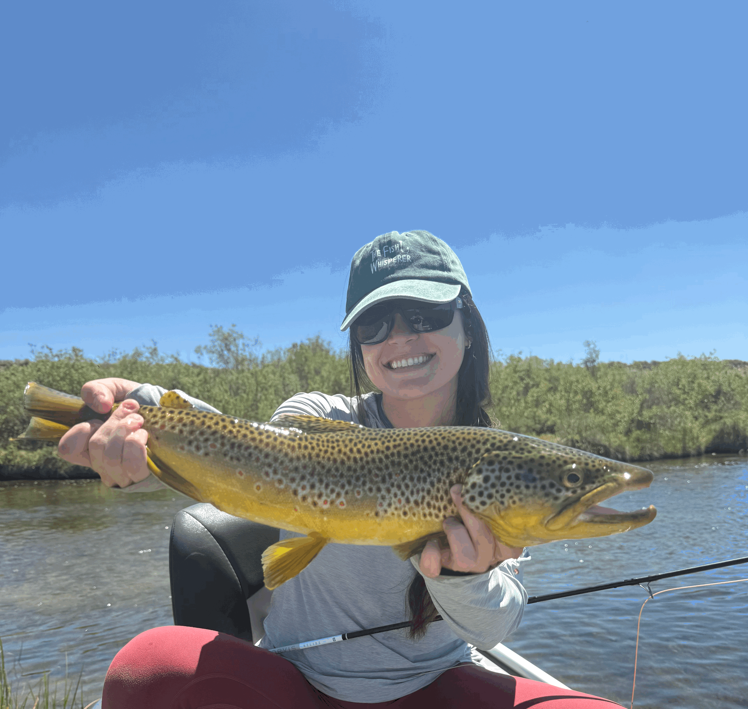 Dry fly fishing the Upper Green river Wyoming