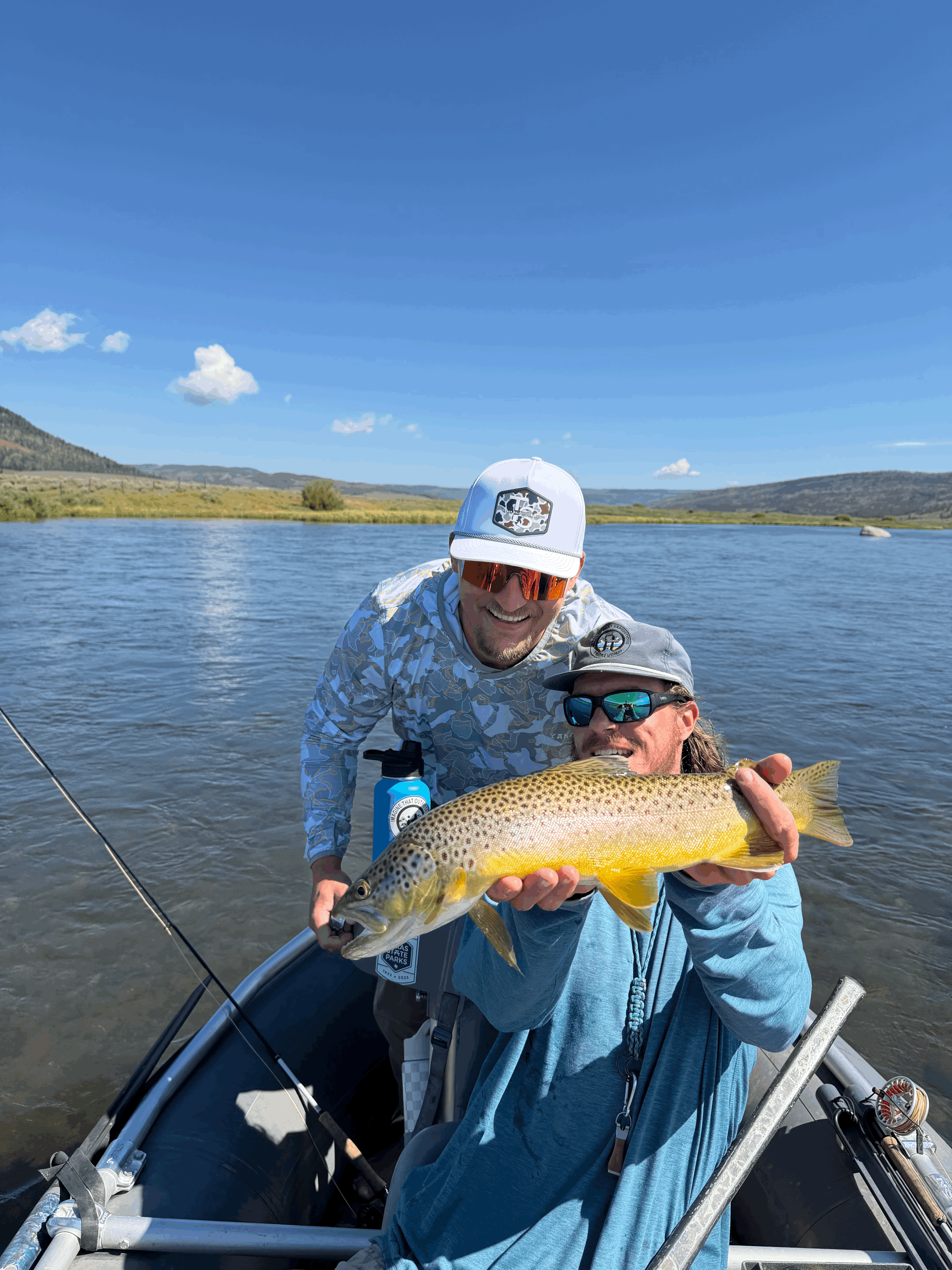 Green river Brown trout on a dry fly in Wyoming