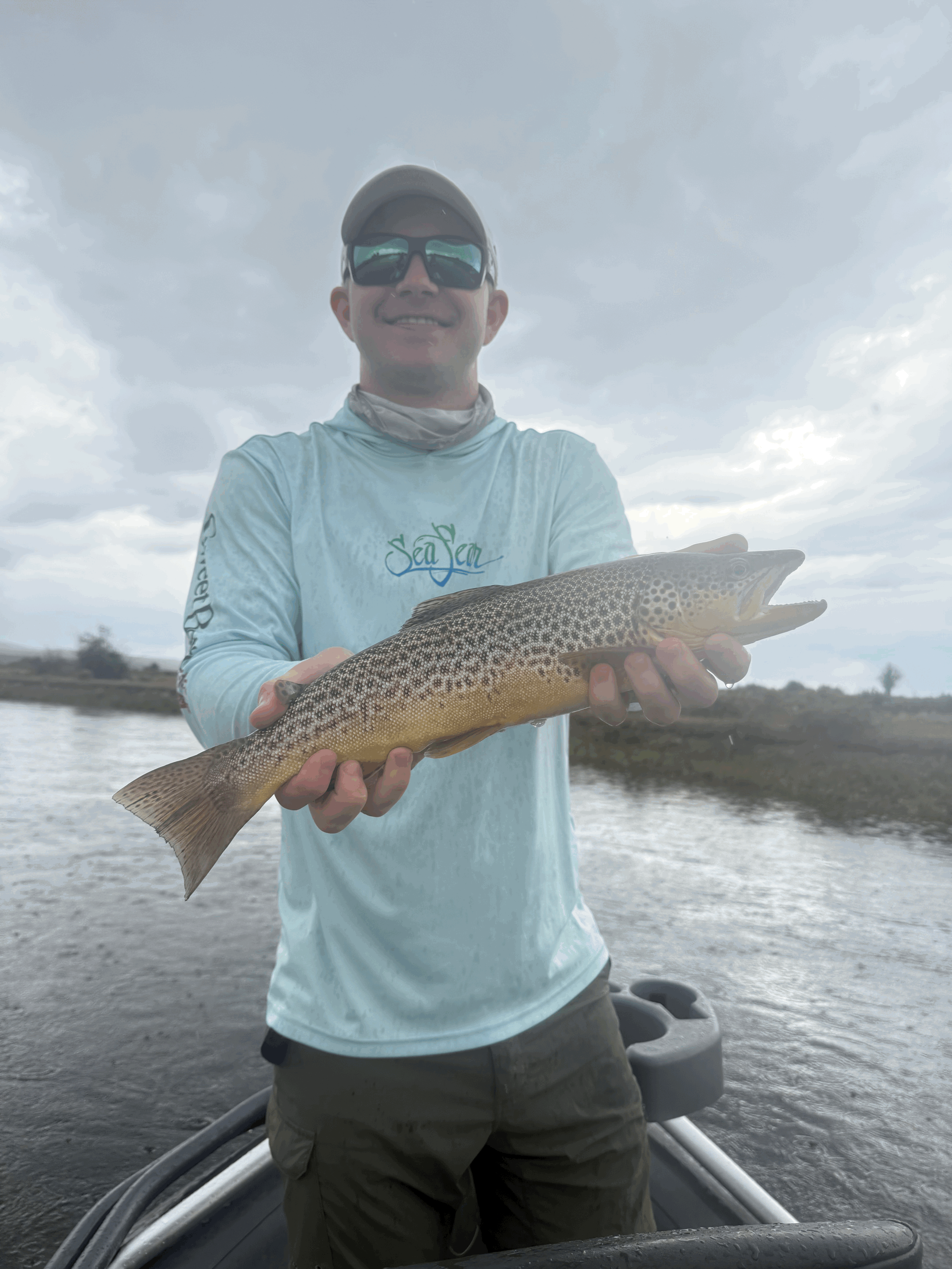 Green River Brown trout on a dry fly Wyoming