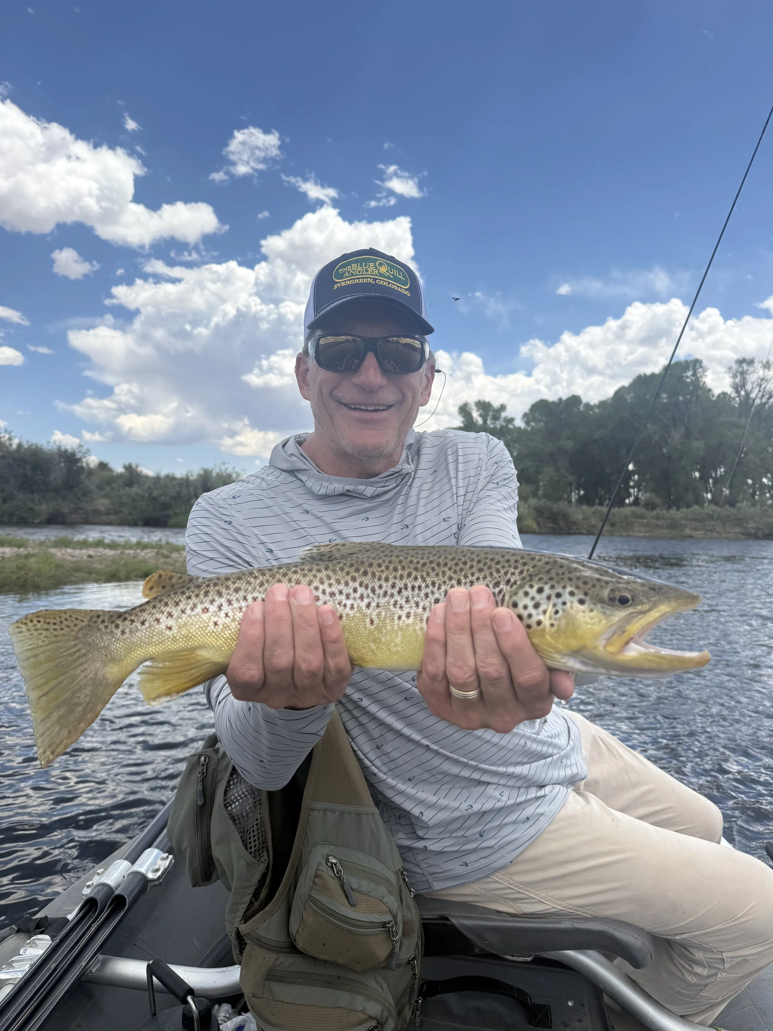 Trophy Green river Brown trout on a dry fly