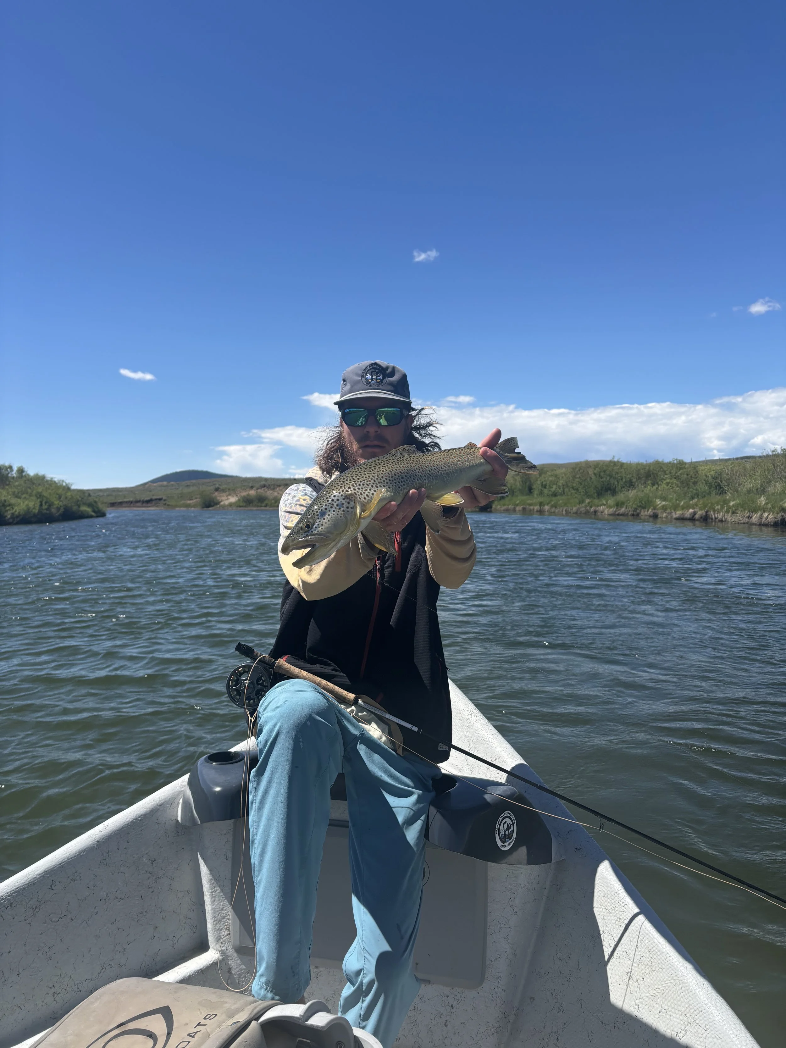 Dry fly fishing the upper Green river in Wyoming