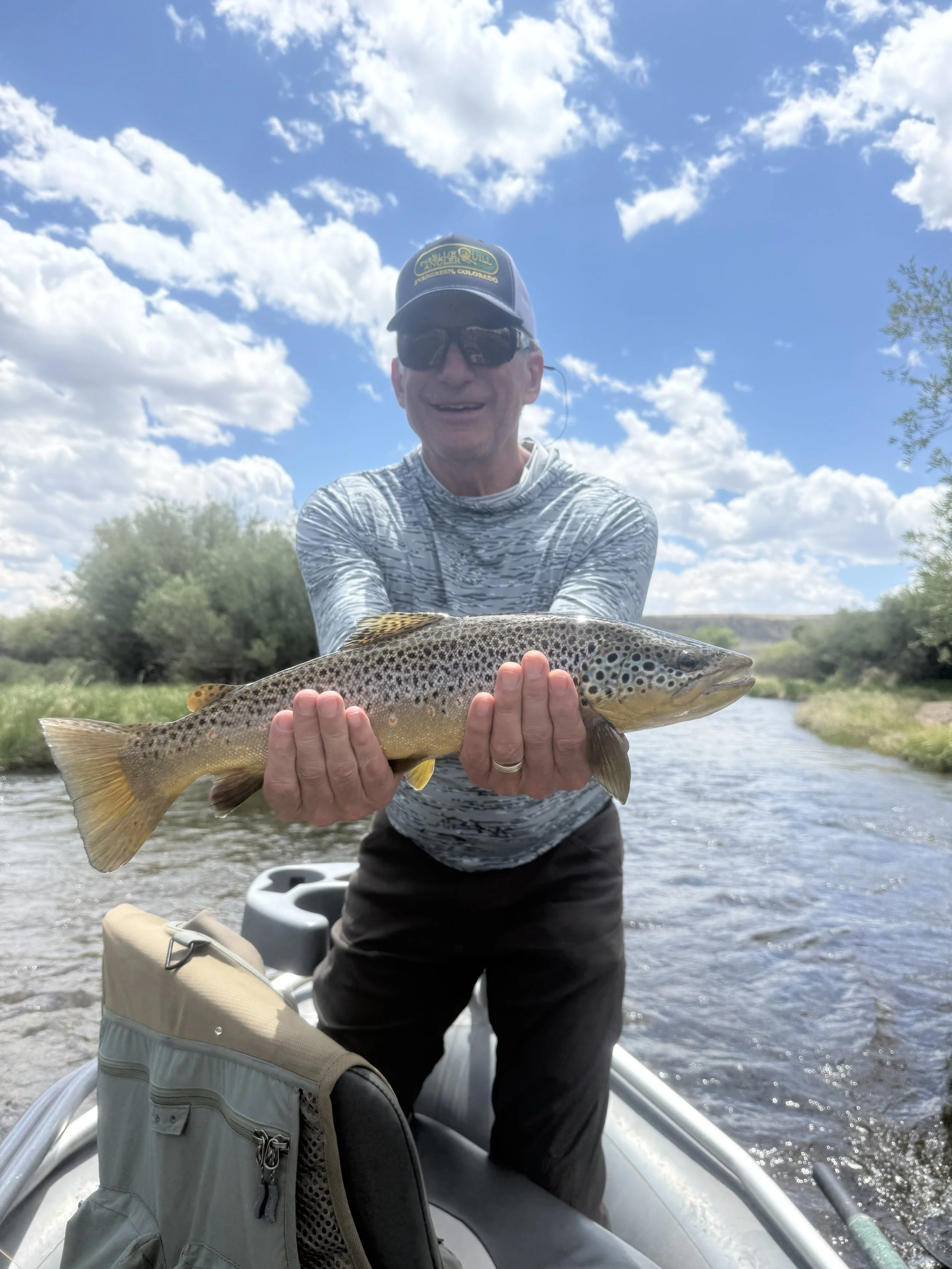 Dry fly fishing the New Fork river WY Brown trout