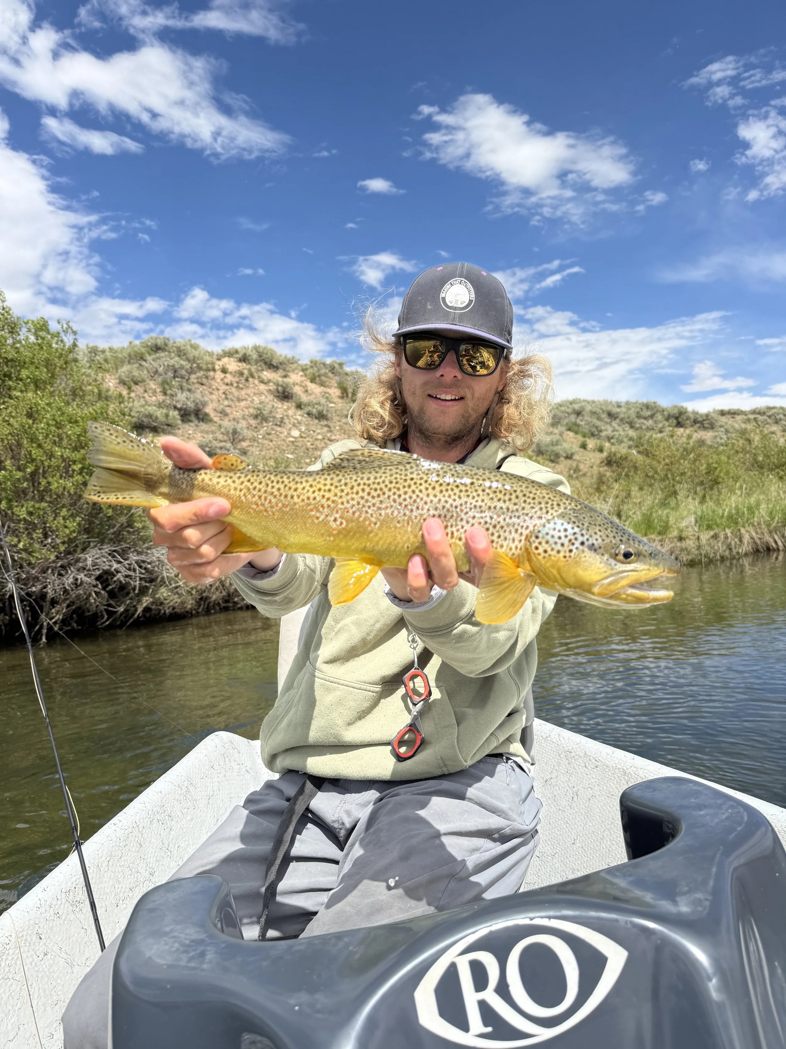 Site fishing trophy Brown trout with dry flies on the Green river in Wyoming
