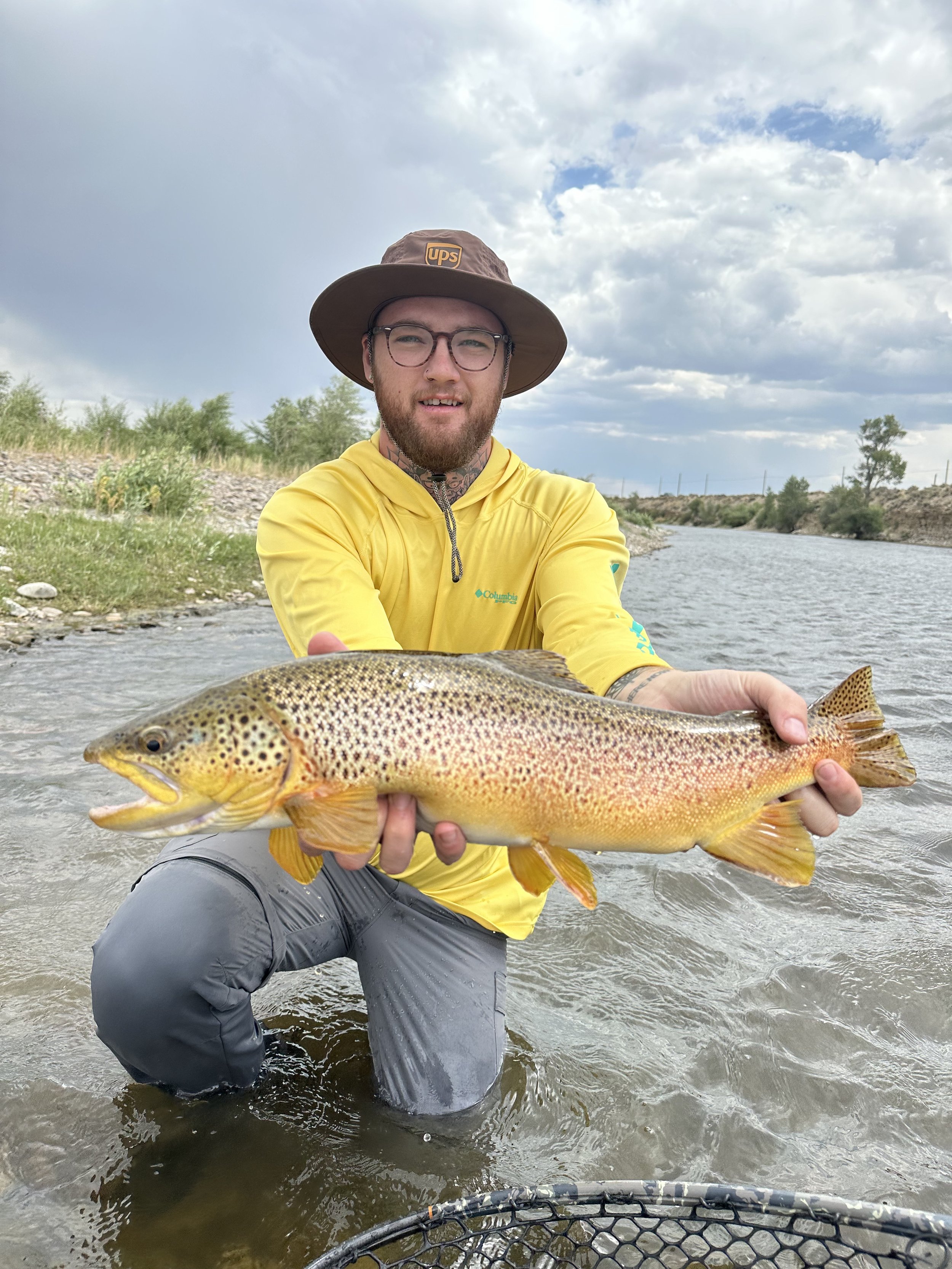 Codys 27 inch Brown.jpeg