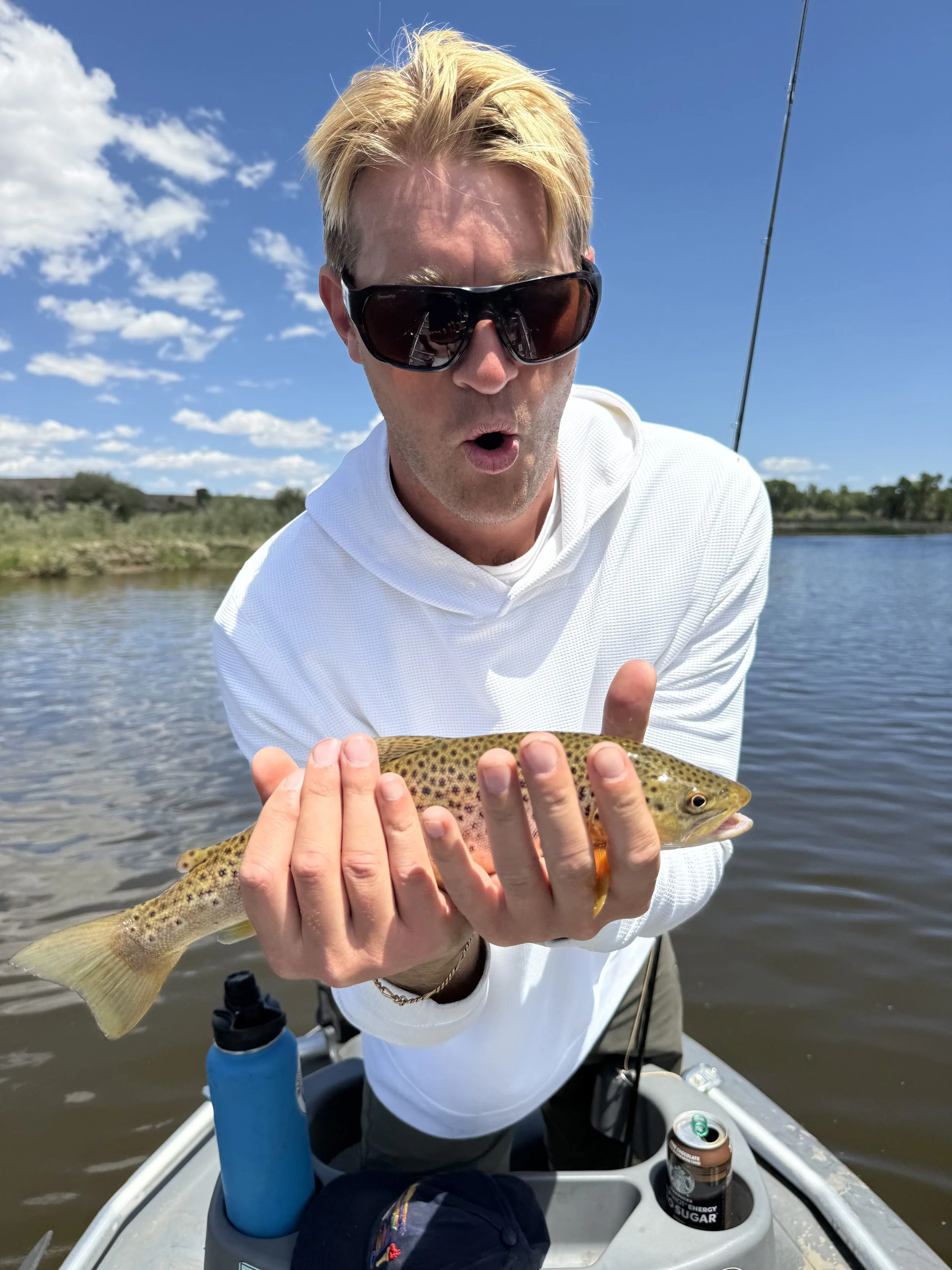 Dry fly fishing on the upper Green river Wyoming