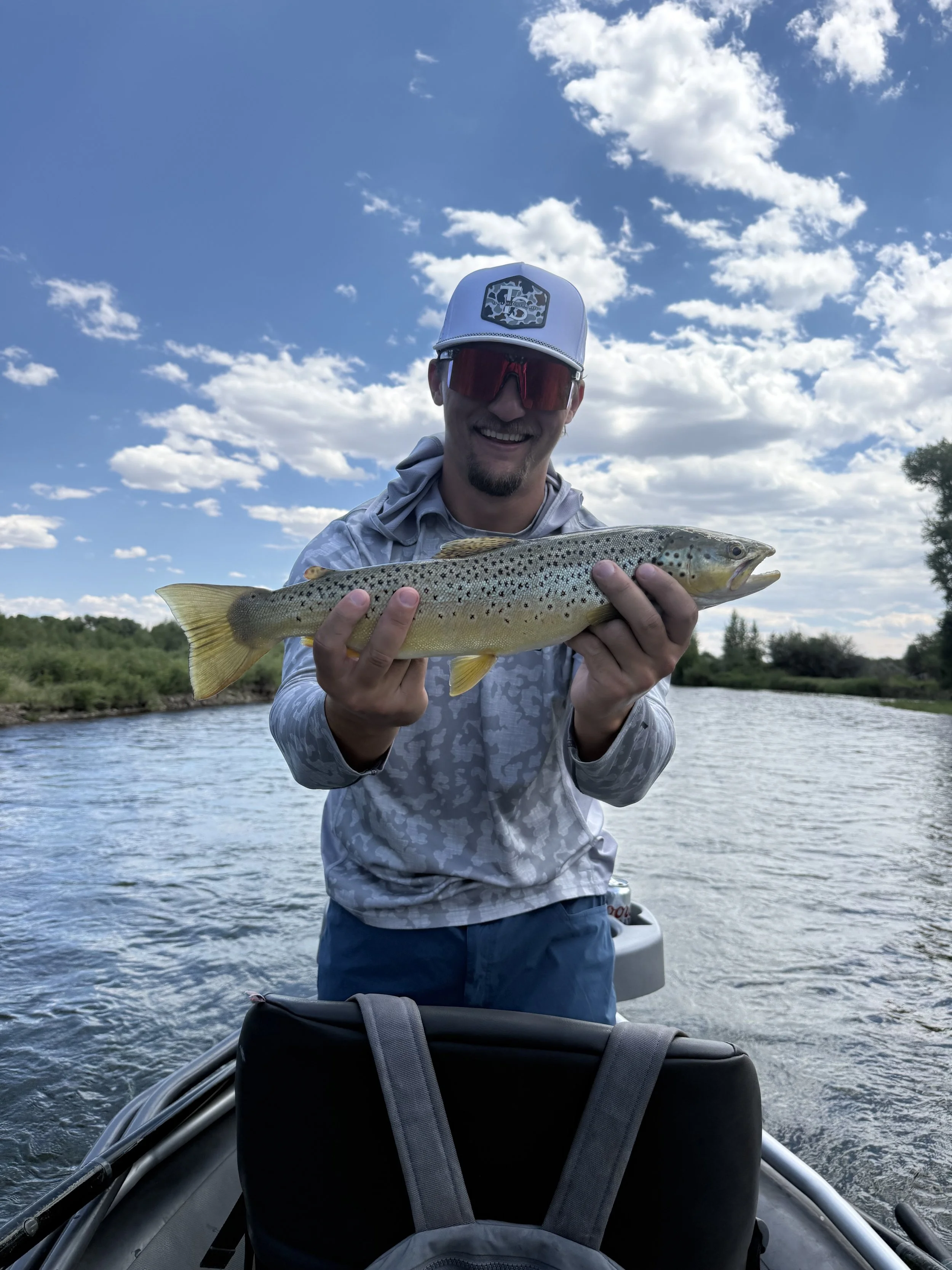 Dry fly fishing brown trout Green river Wyoming