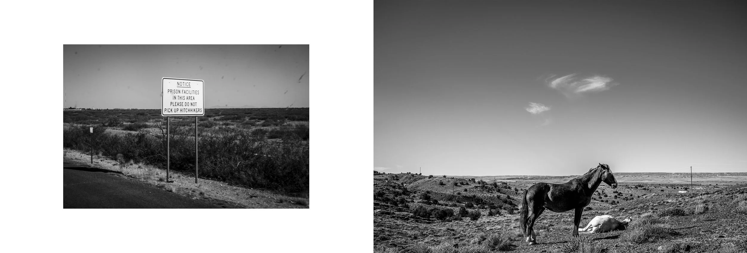 Left image shows a desert landscape with a road and a sign that reads, "Notice: Prison facilities in this area. Please do not pick up hitchhikers." Right image shows a horse standing in a dry, desert-like landscape with a clear sky and a few clouds.