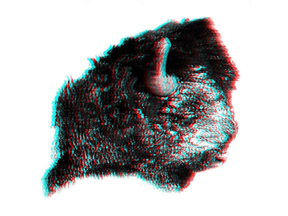 The Bull (Anaglyph Edition)