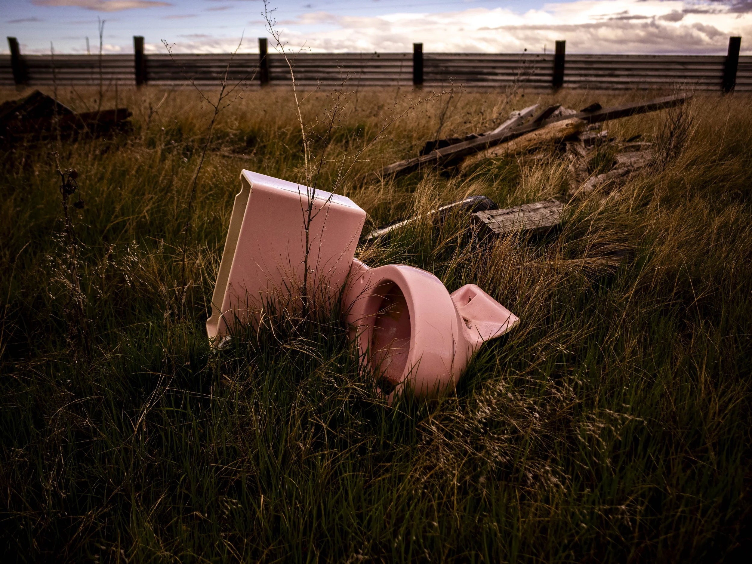 Pink ceramic toilet and lid lying abandoned in tall grass in an open field, with a fence and cloudy sky in the background.