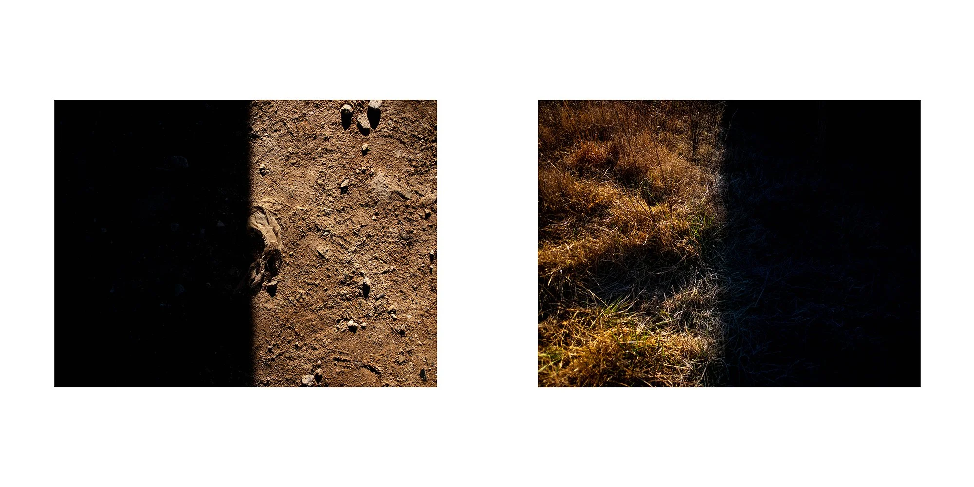 Comparison of two soil surfaces, left showing dry, rocky dirt with pebbles, right showing grass and plant-covered ground in shadow.