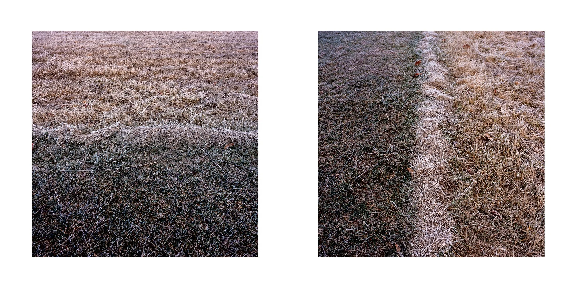 Comparison of two grassy fields, one with frost-covered grass and the other with frost-free grass.